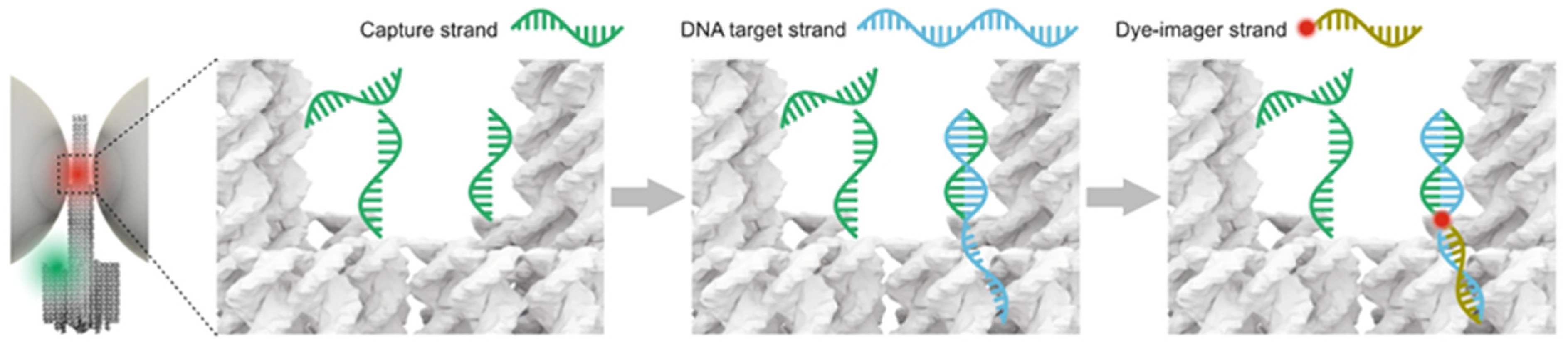 Nanomaterials 14 01968 g005