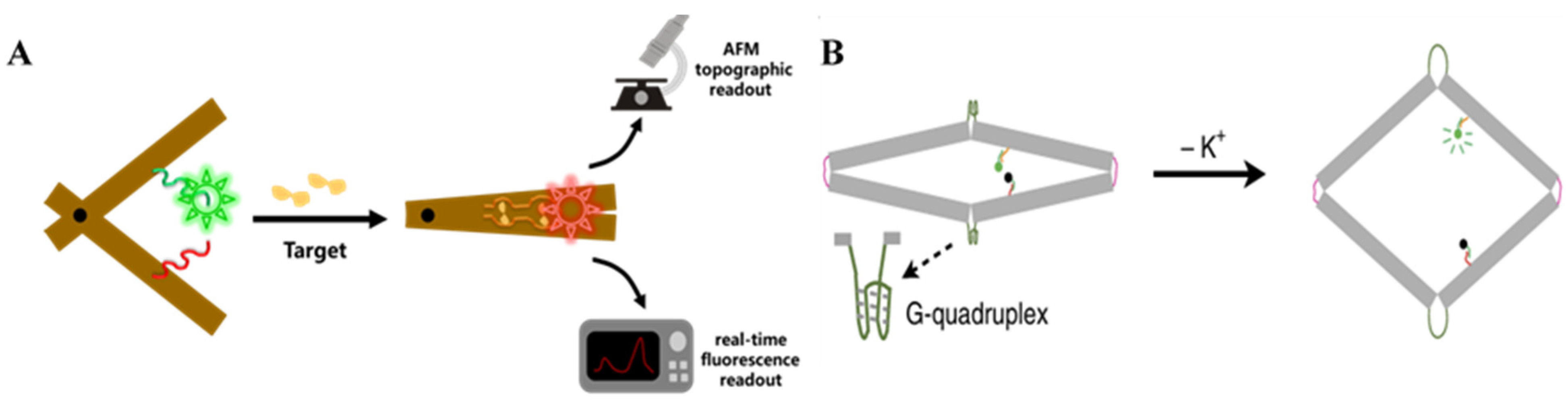 Nanomaterials 14 01968 g006