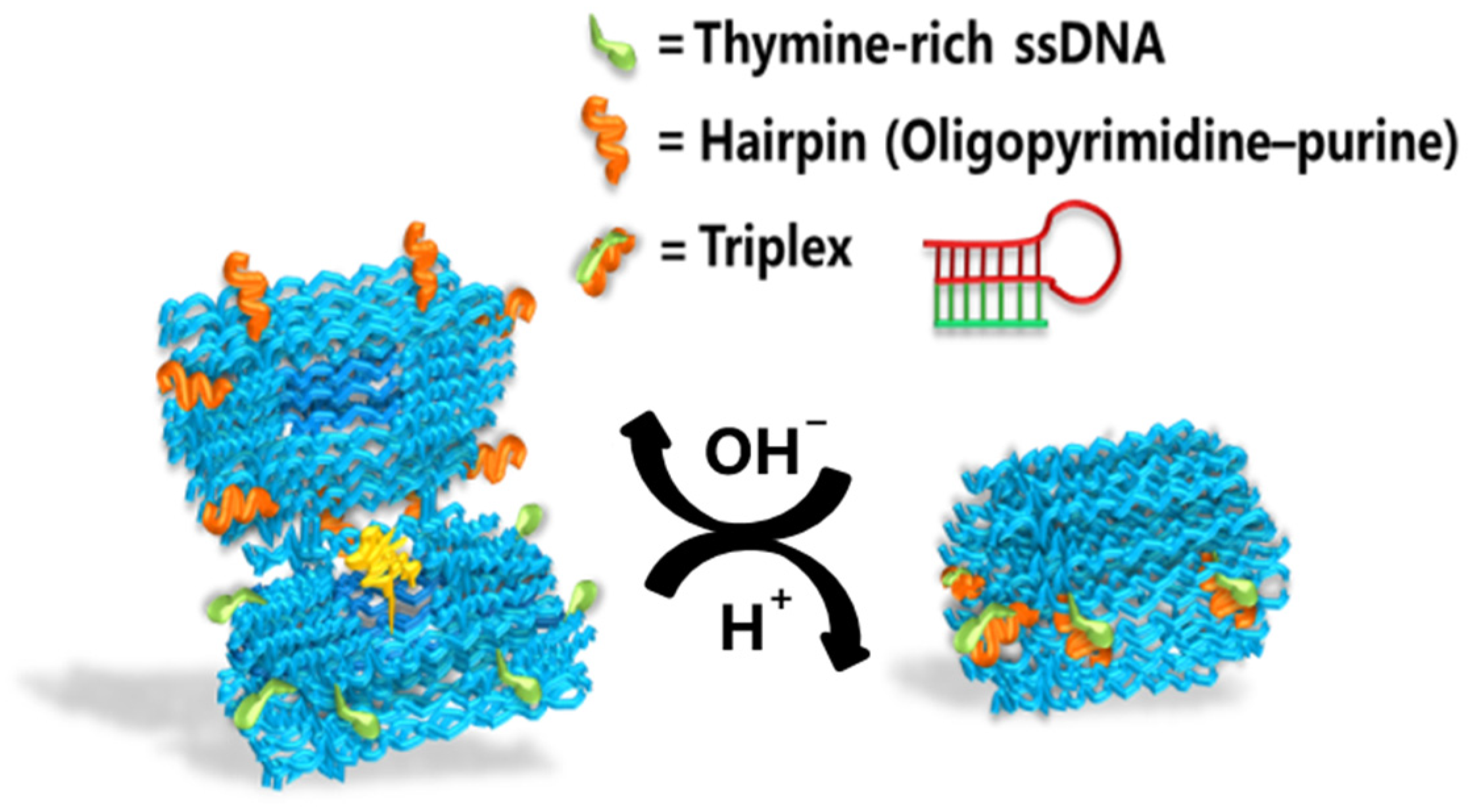 Nanomaterials 14 01968 g007