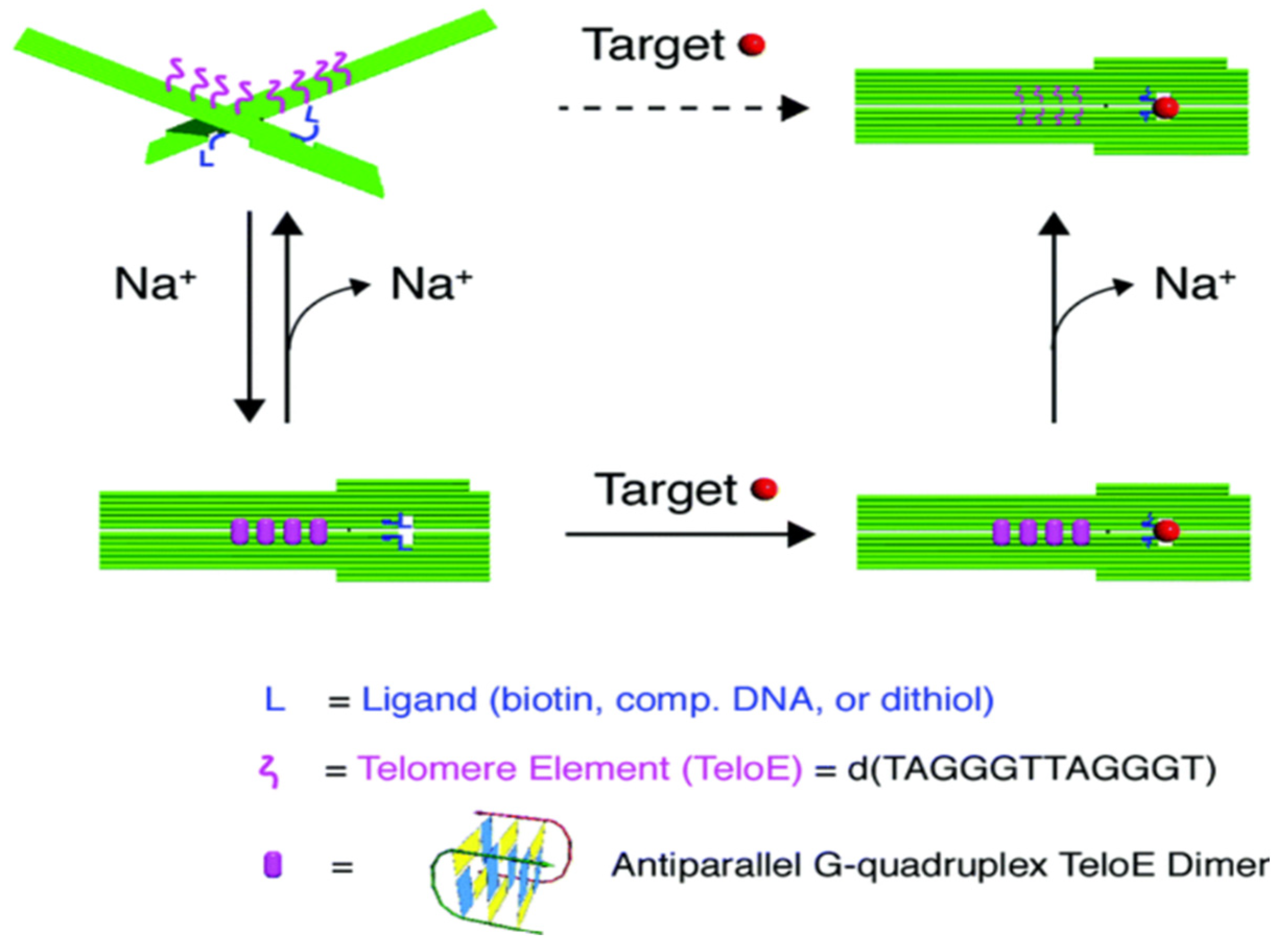 Nanomaterials 14 01968 g008