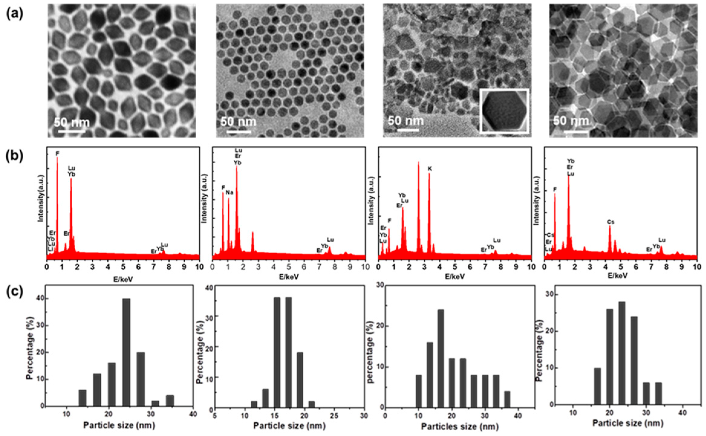 Nanomaterials 14 01969 g001