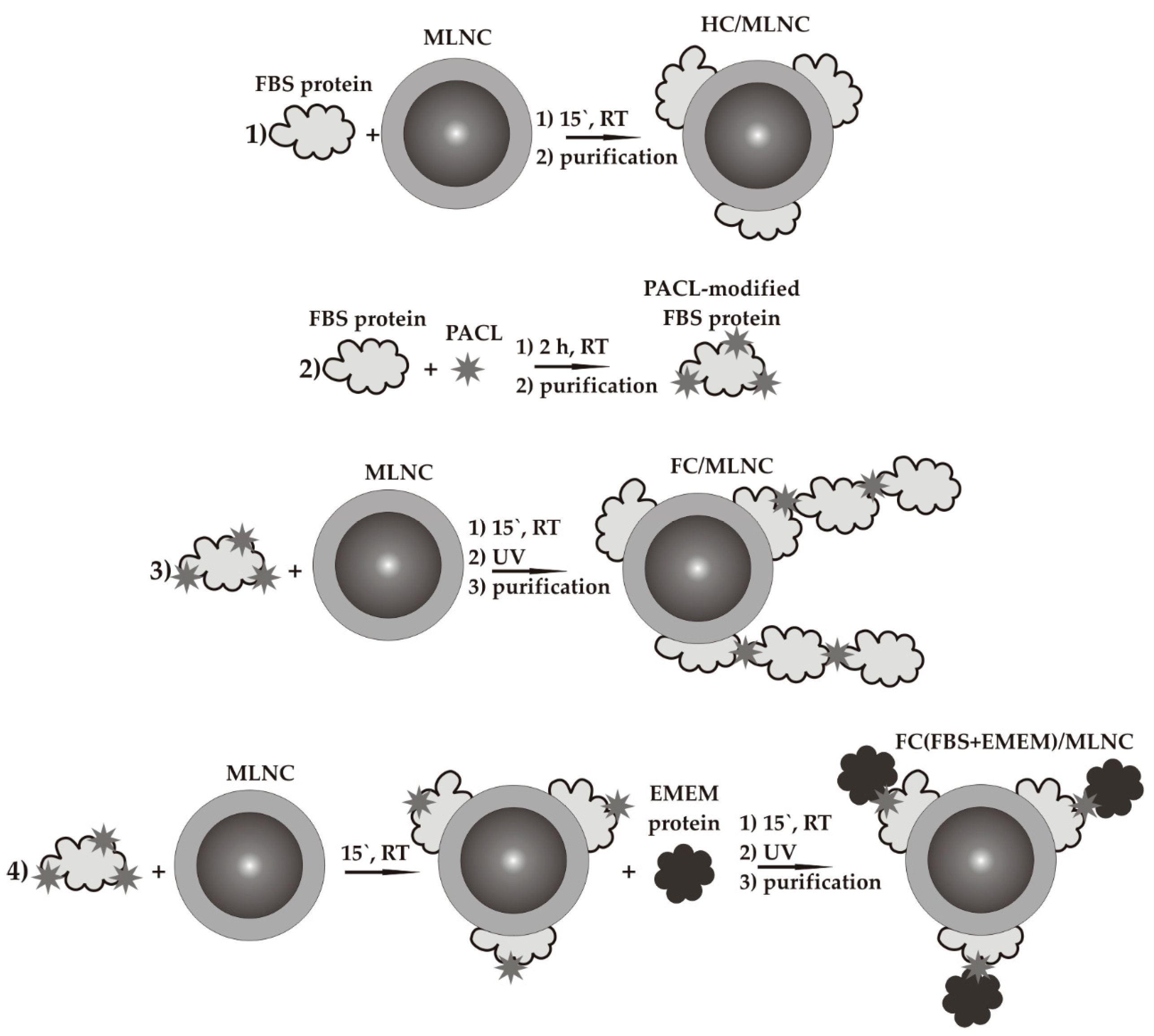 Nanomaterials 14 01976 g001