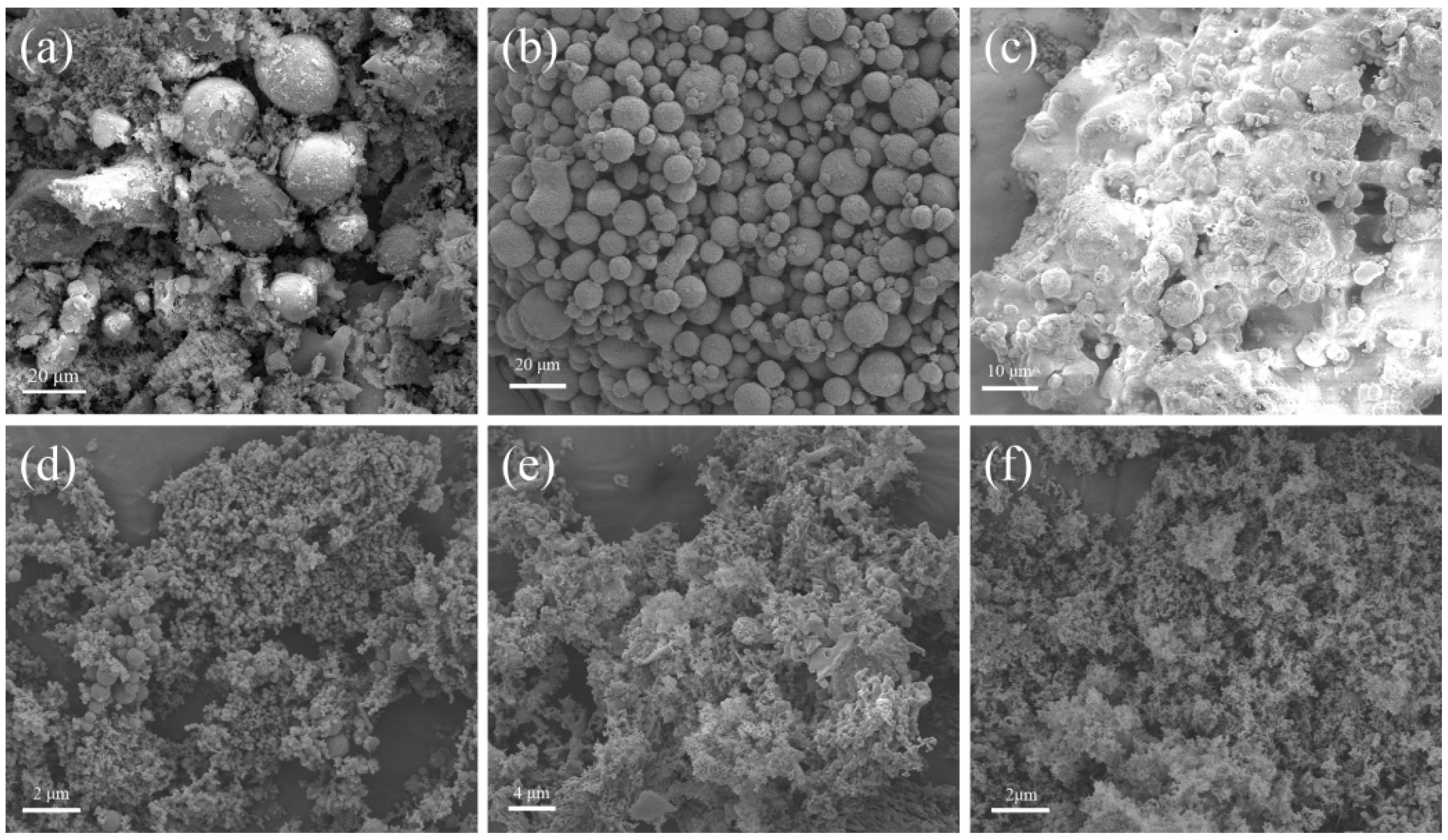 Nanomaterials 14 01980 g011