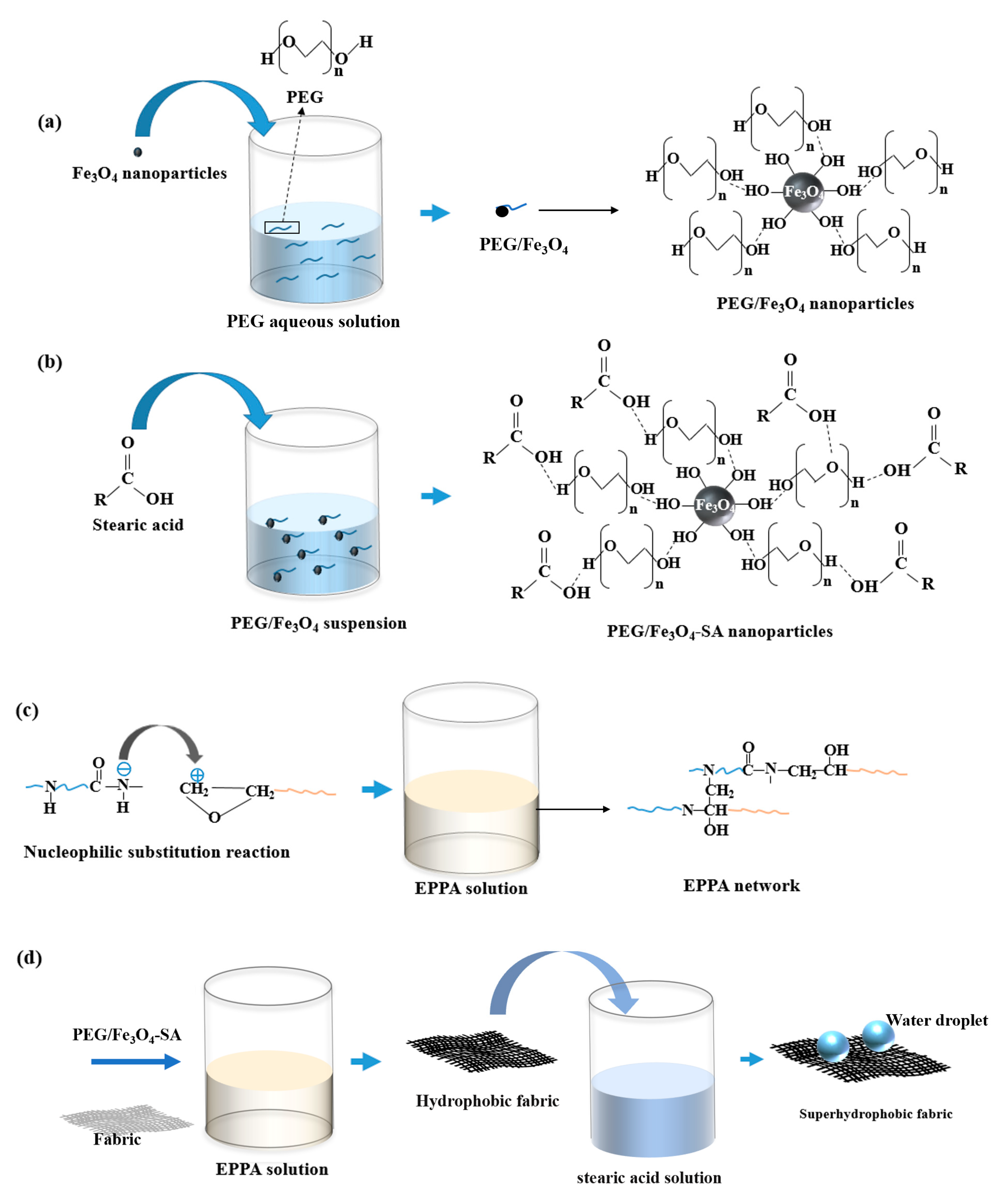 Nanomaterials 14 01981 g001