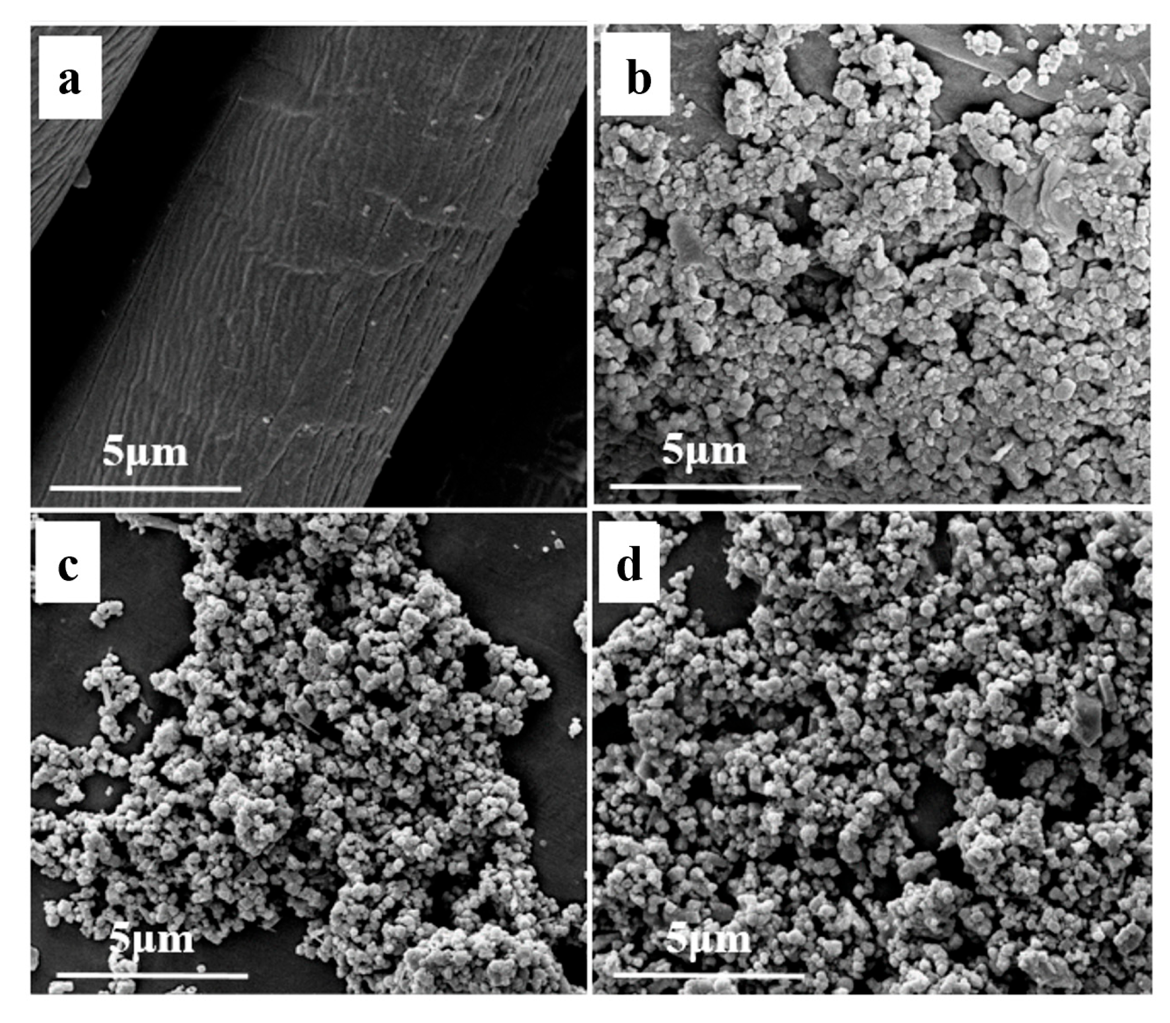 Nanomaterials 14 01981 g002
