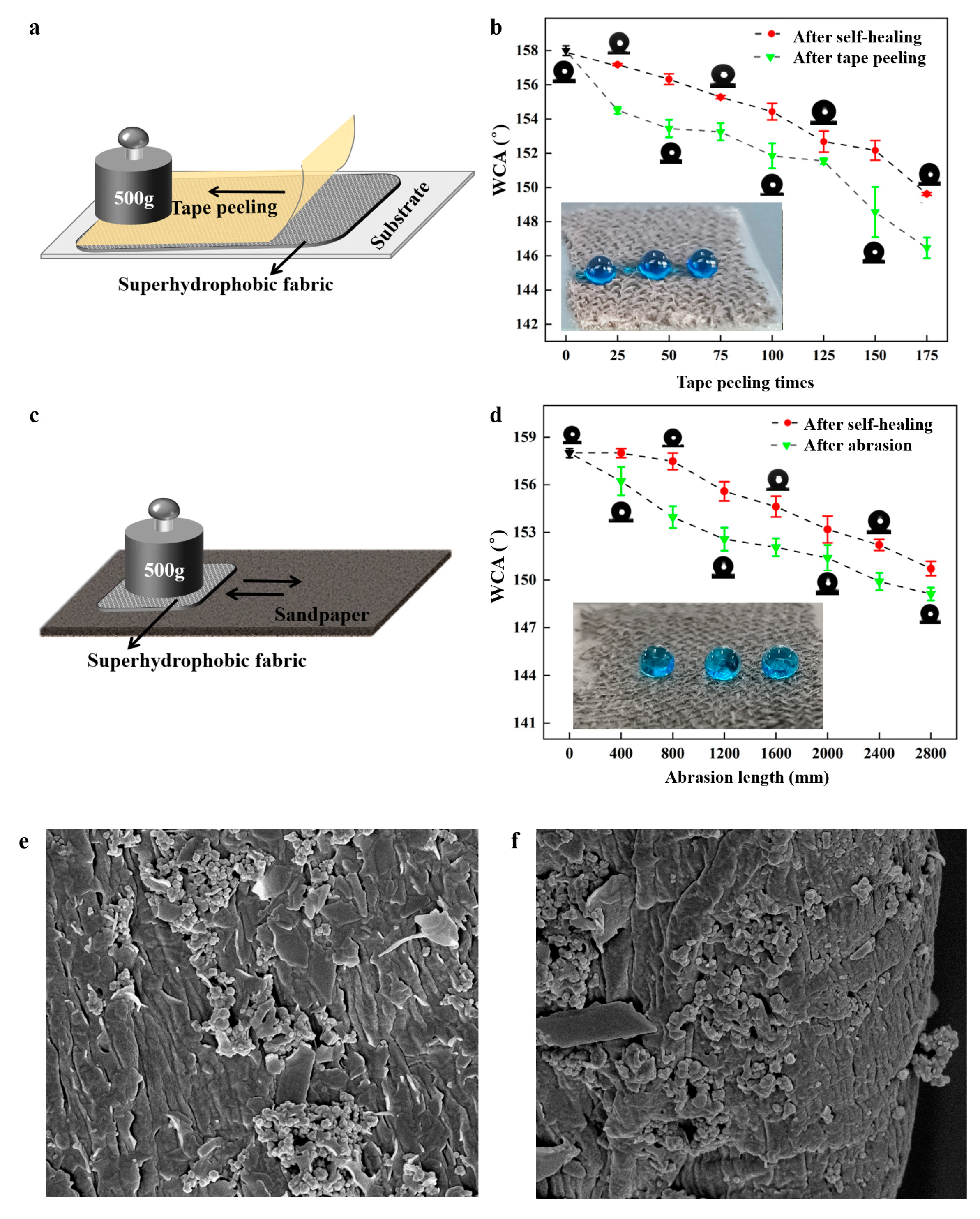 Nanomaterials 14 01981 g008