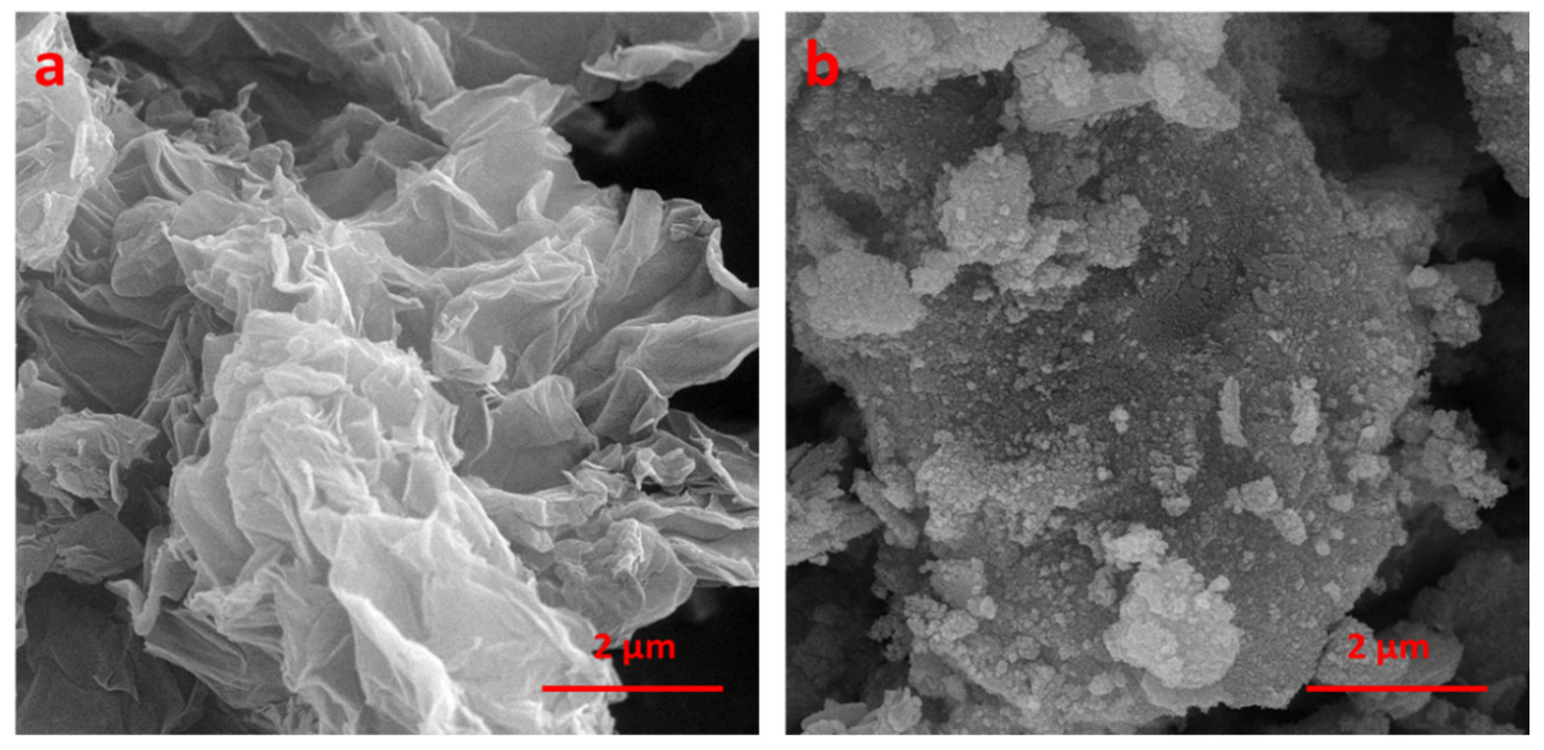 Nanomaterials 14 01983 g002
