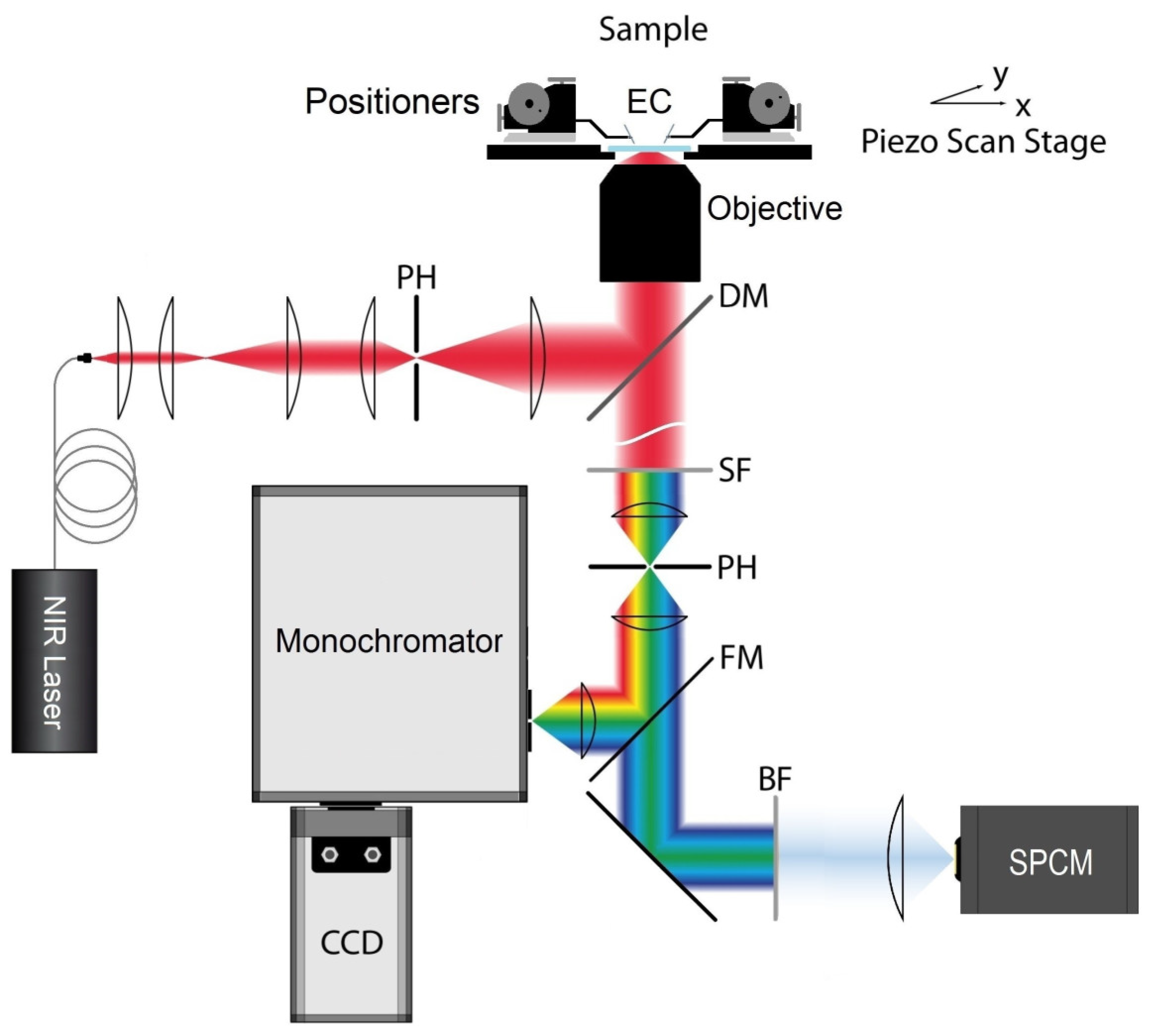 Nanomaterials 14 01985 g003