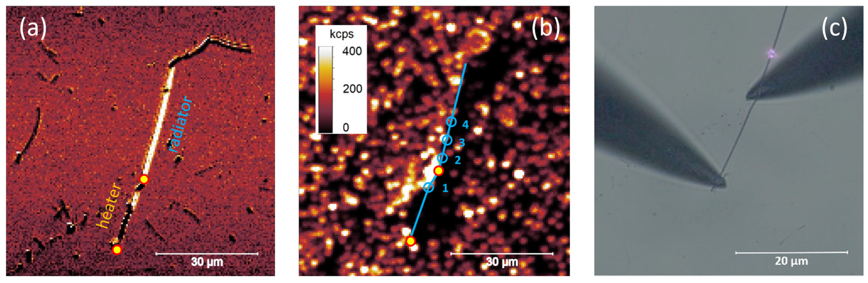 Nanomaterials 14 01985 g004