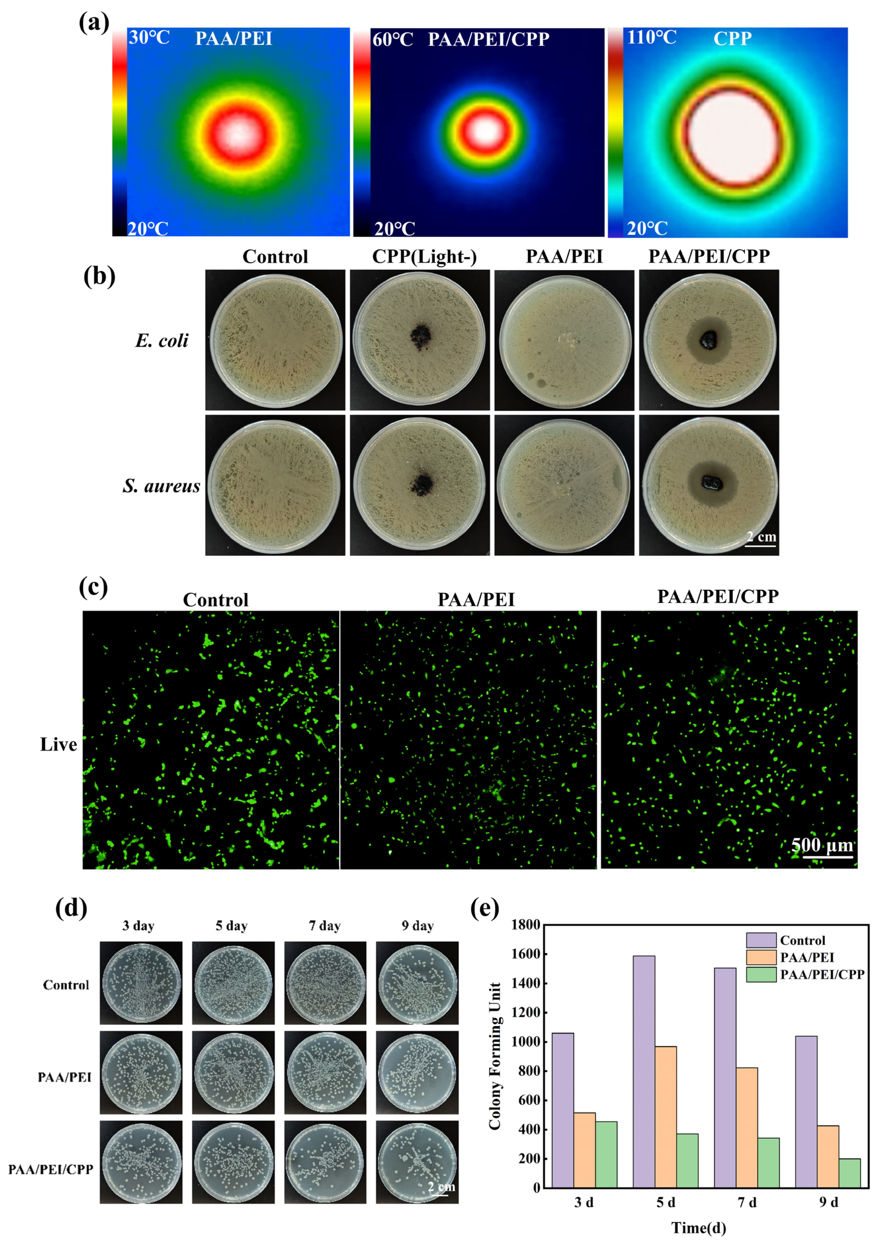Nanomaterials 14 01992 g003