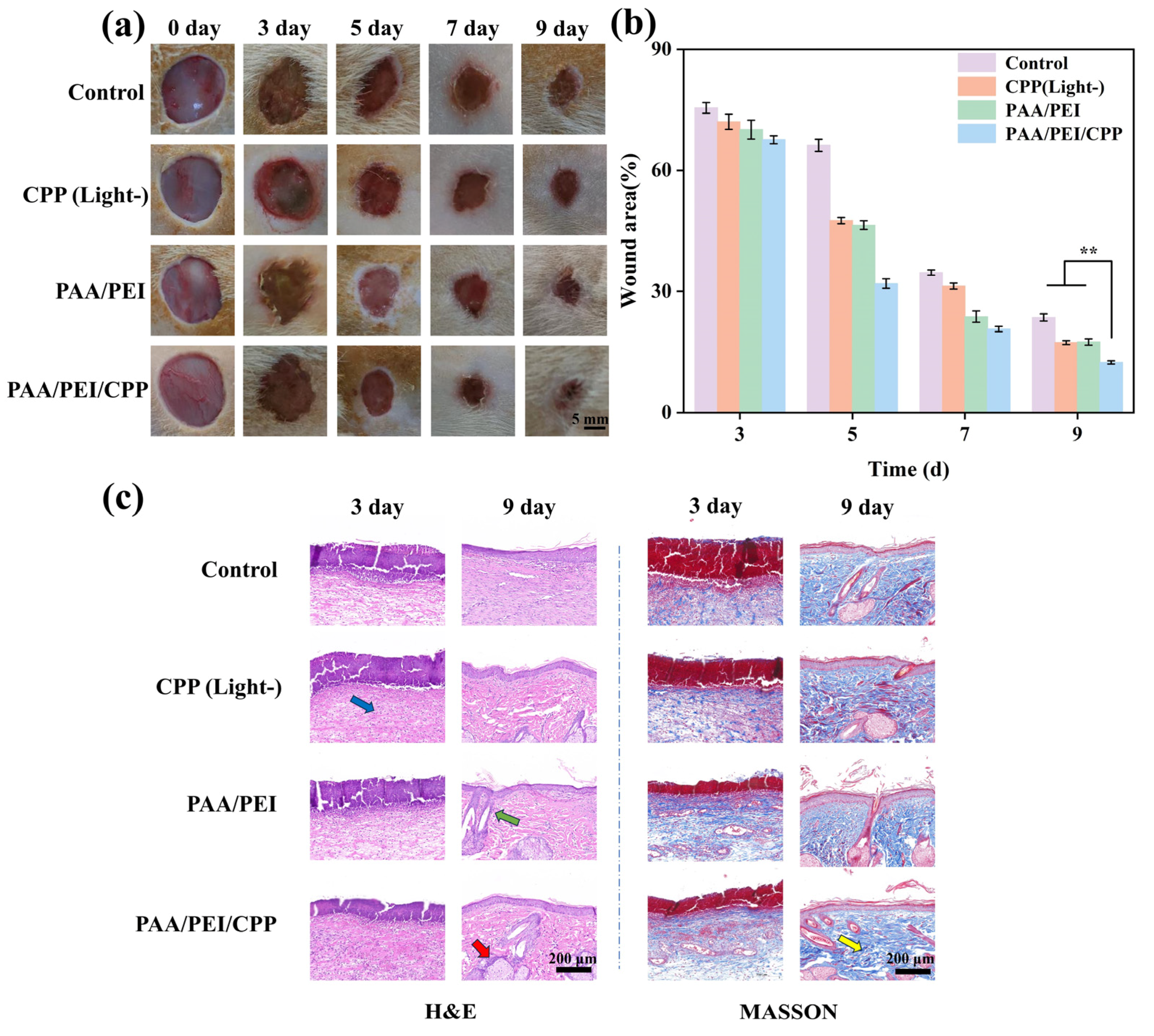 Nanomaterials 14 01992 g005