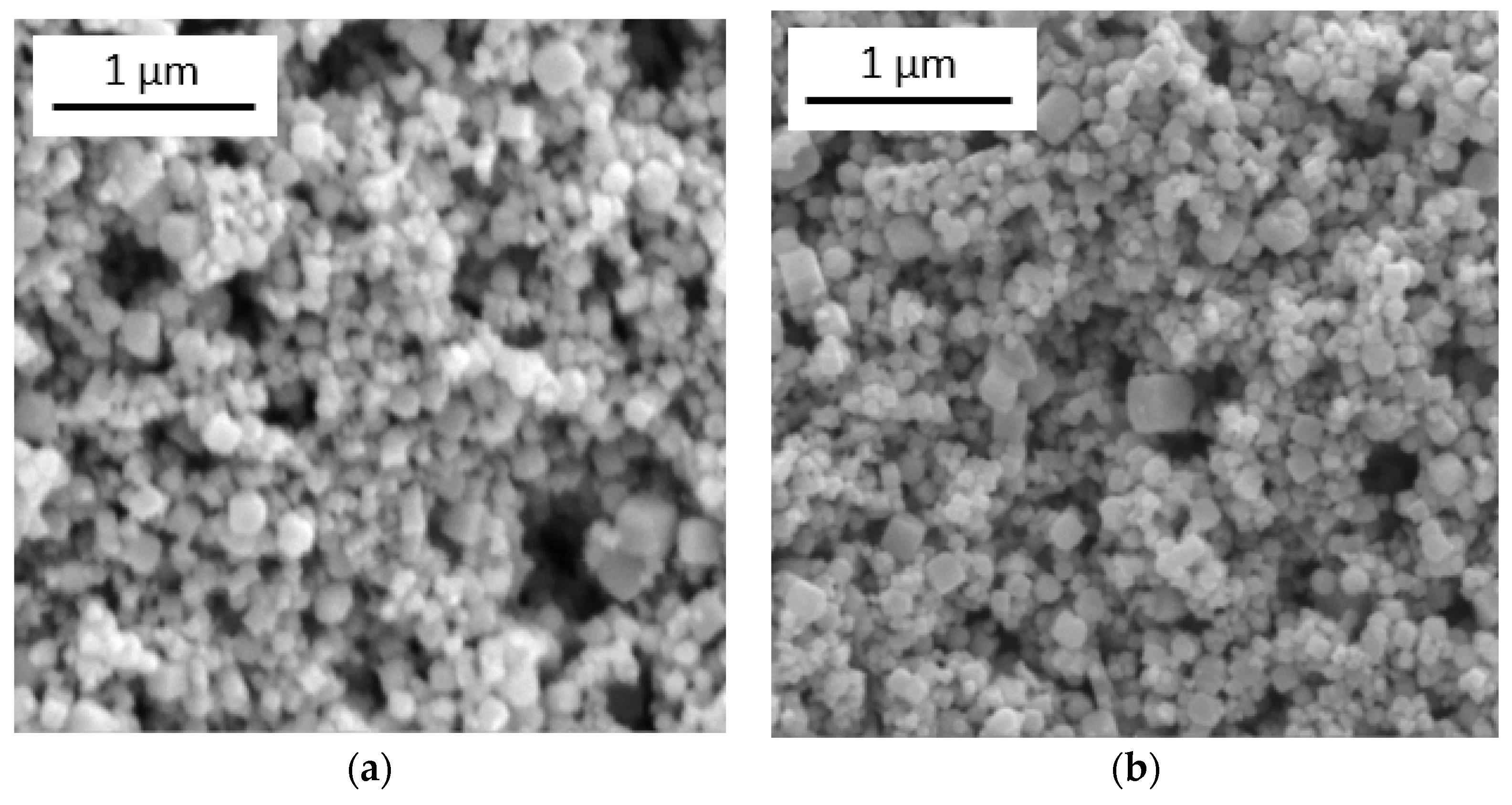 Nanomaterials 14 01993 g004