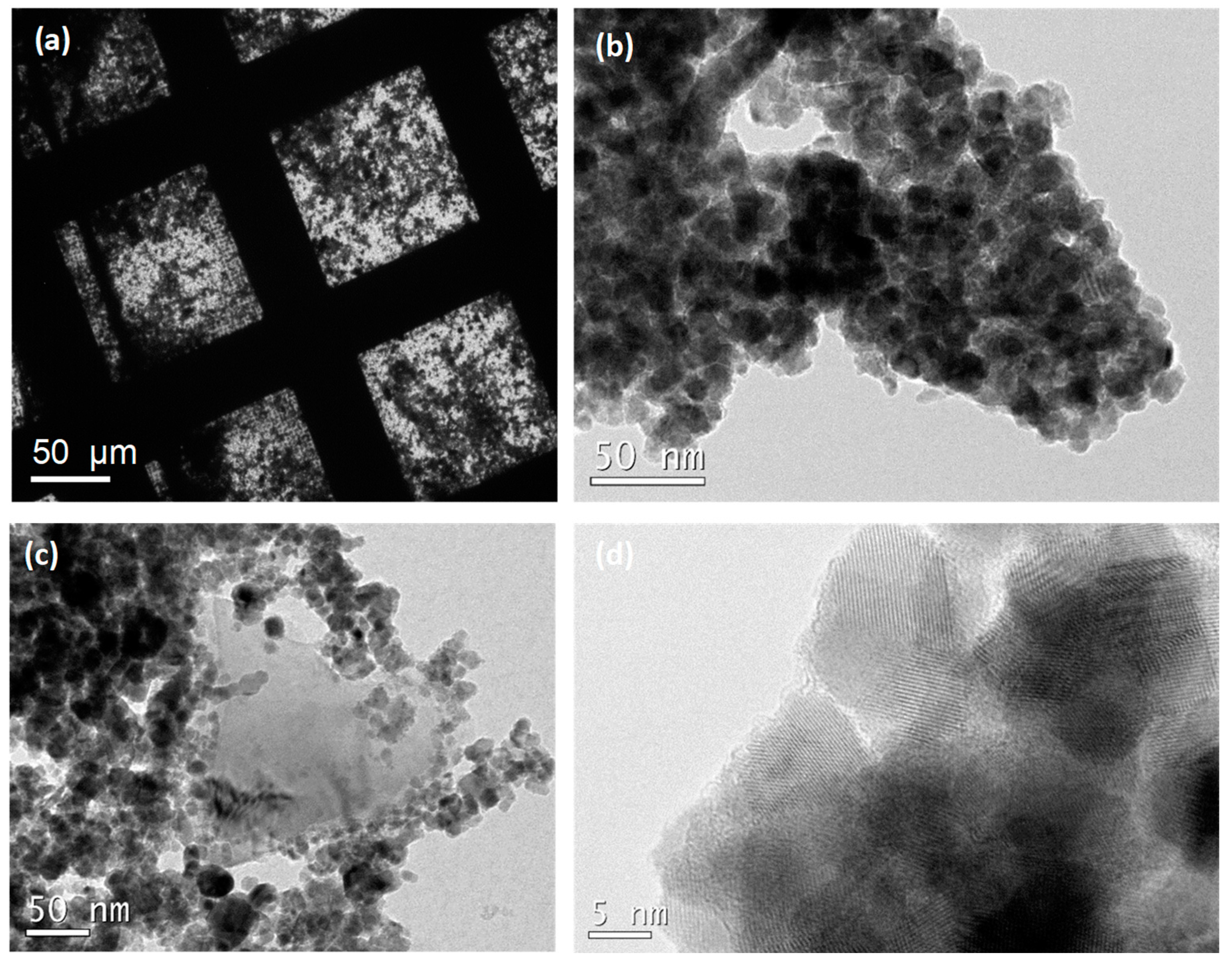 Nanomaterials 14 01994 g002