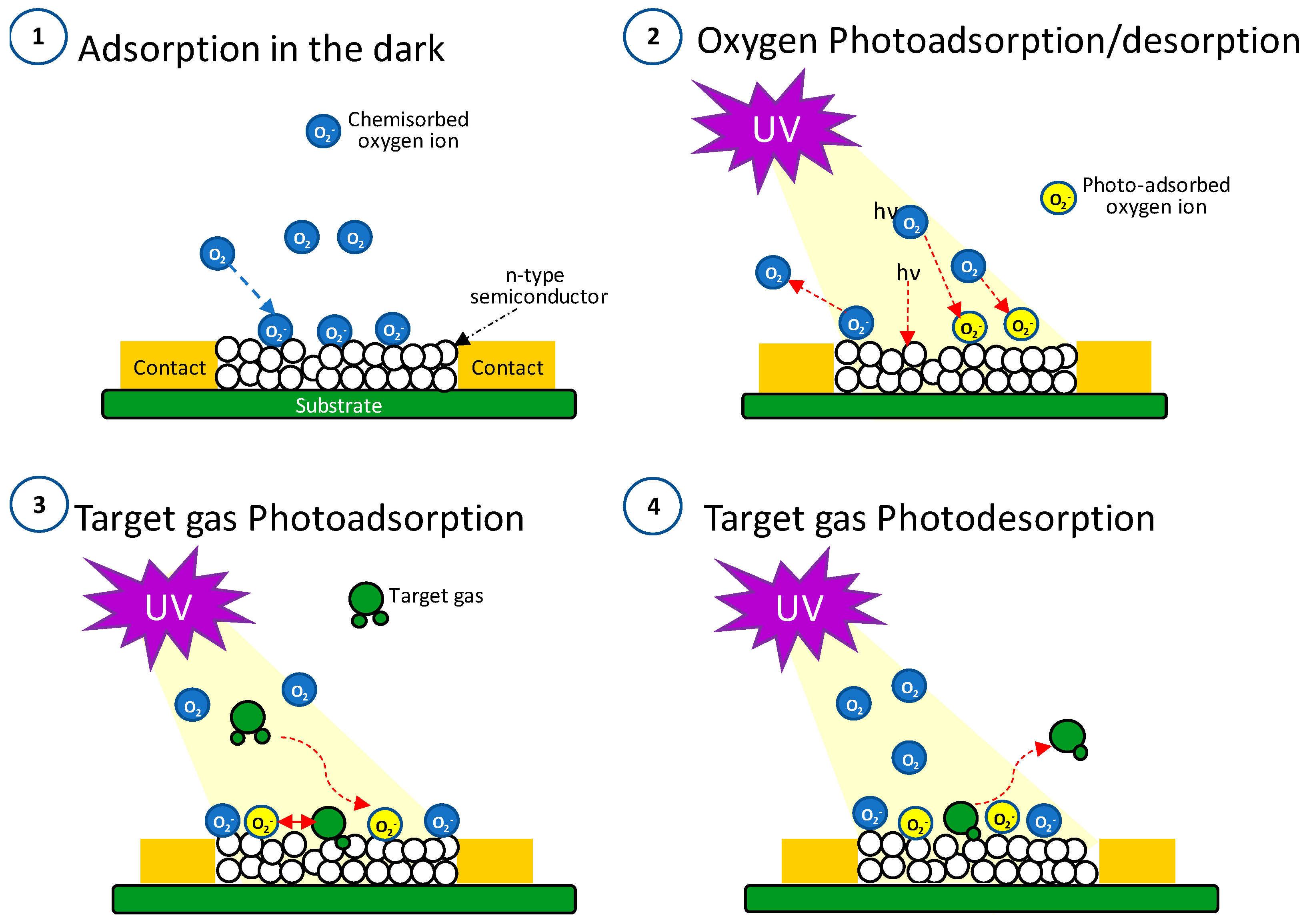 Nanomaterials 14 01994 g007