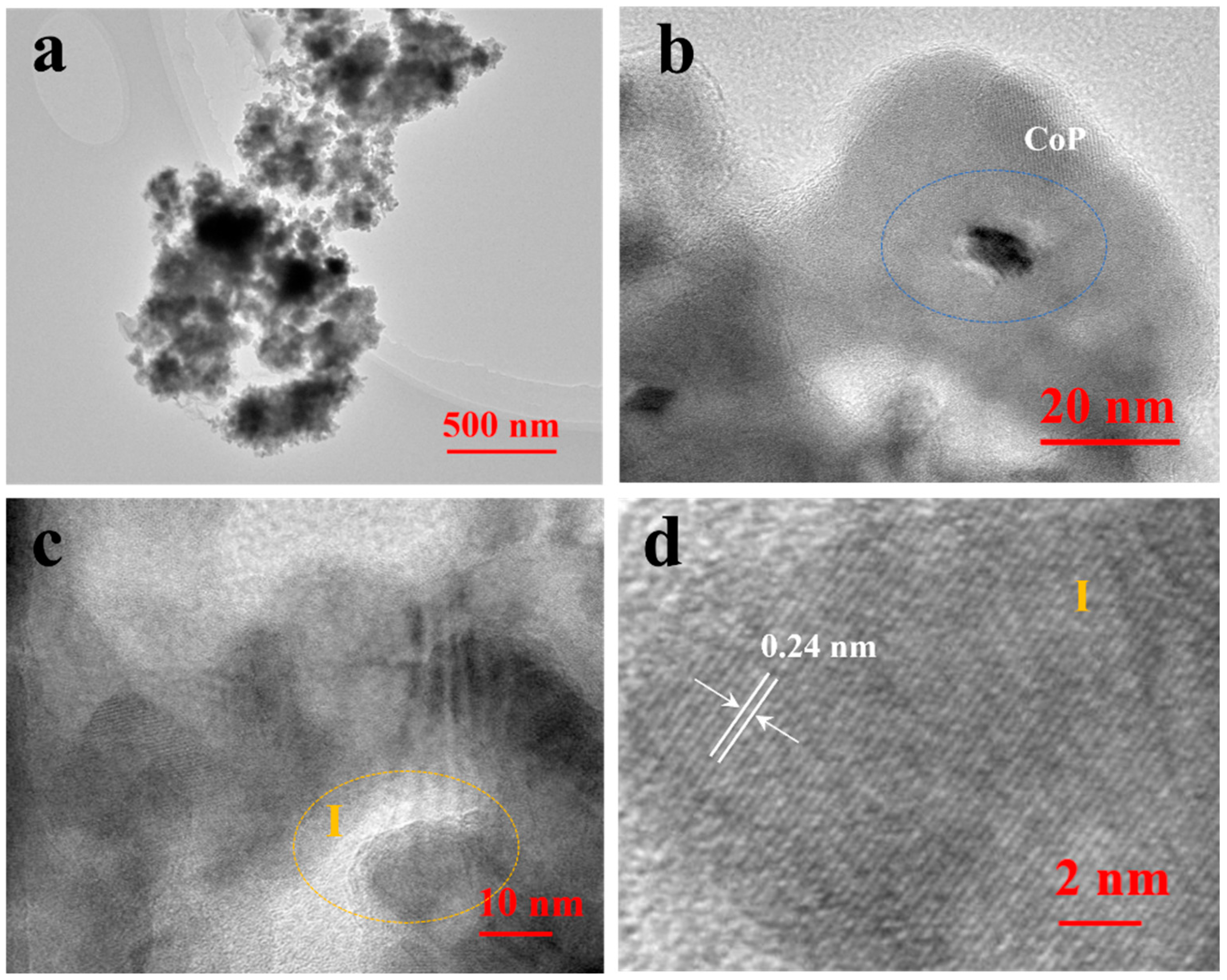 Nanomaterials 14 01996 g002