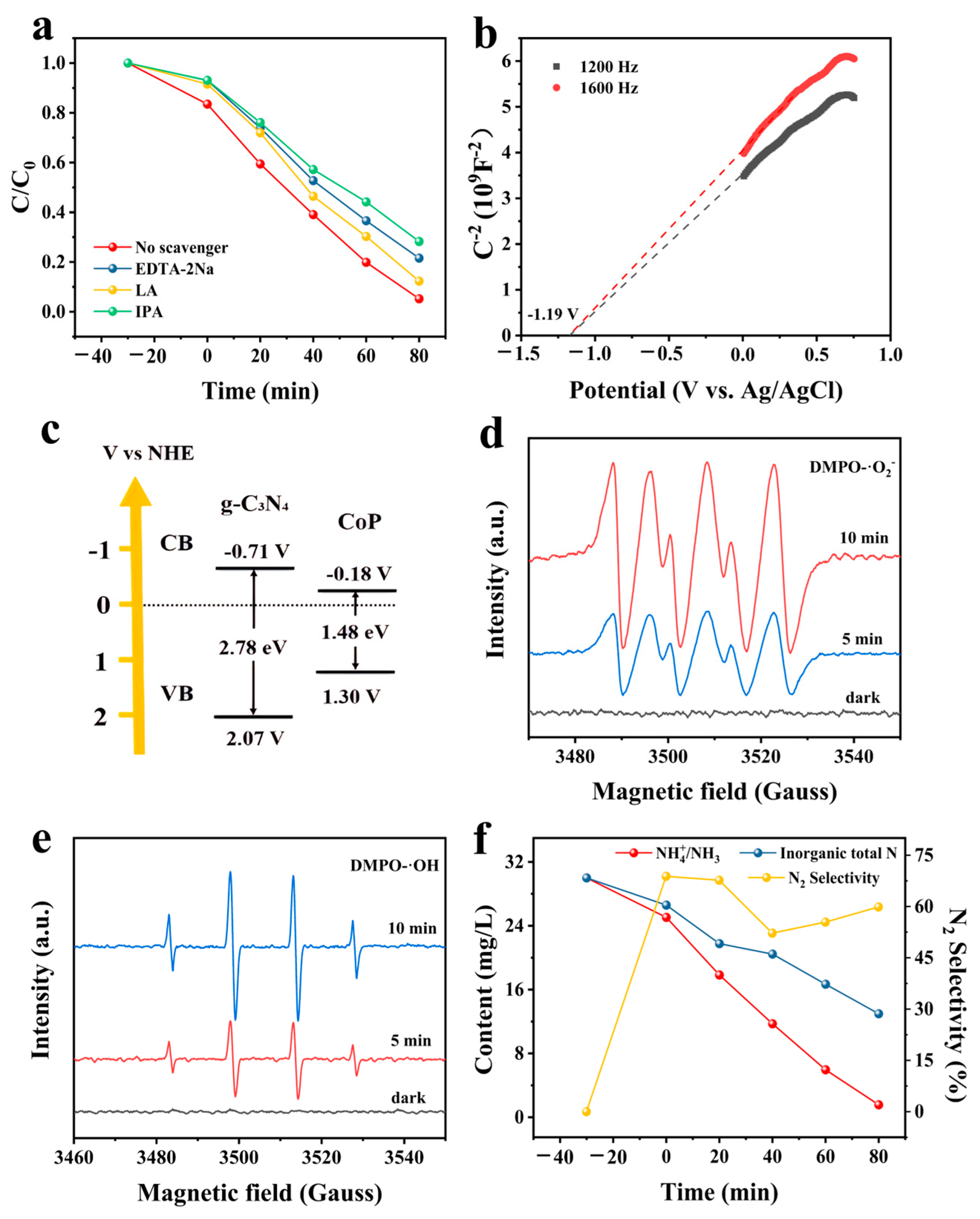 Nanomaterials 14 01996 g008
