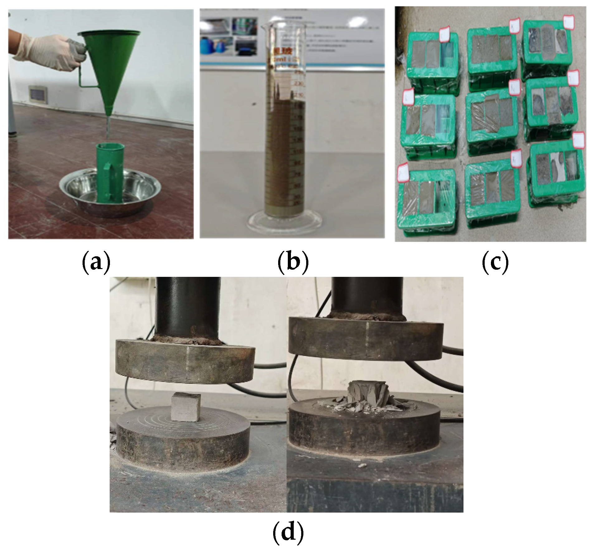 Nanomaterials 14 01997 g004