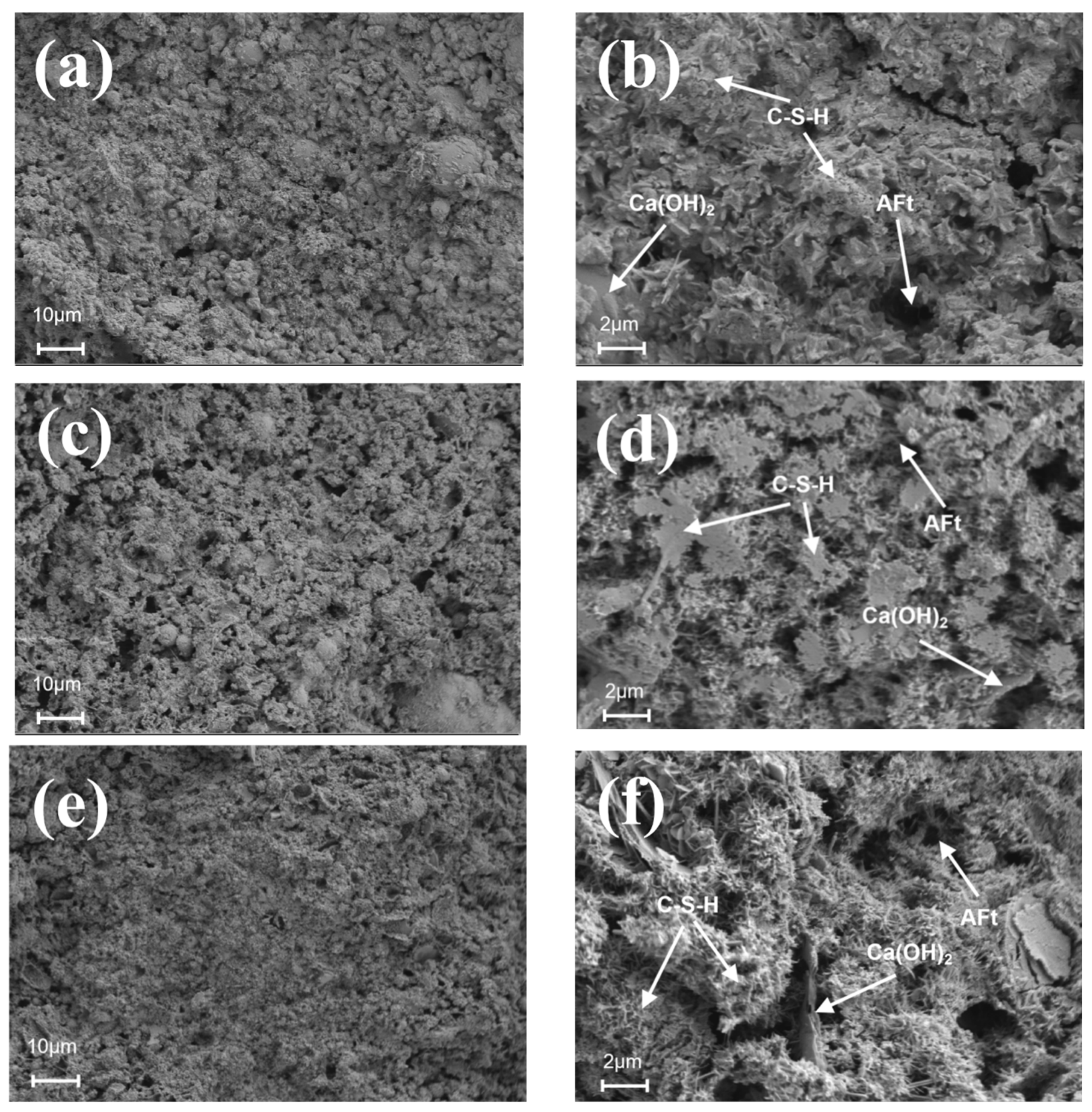 Nanomaterials 14 01997 g011
