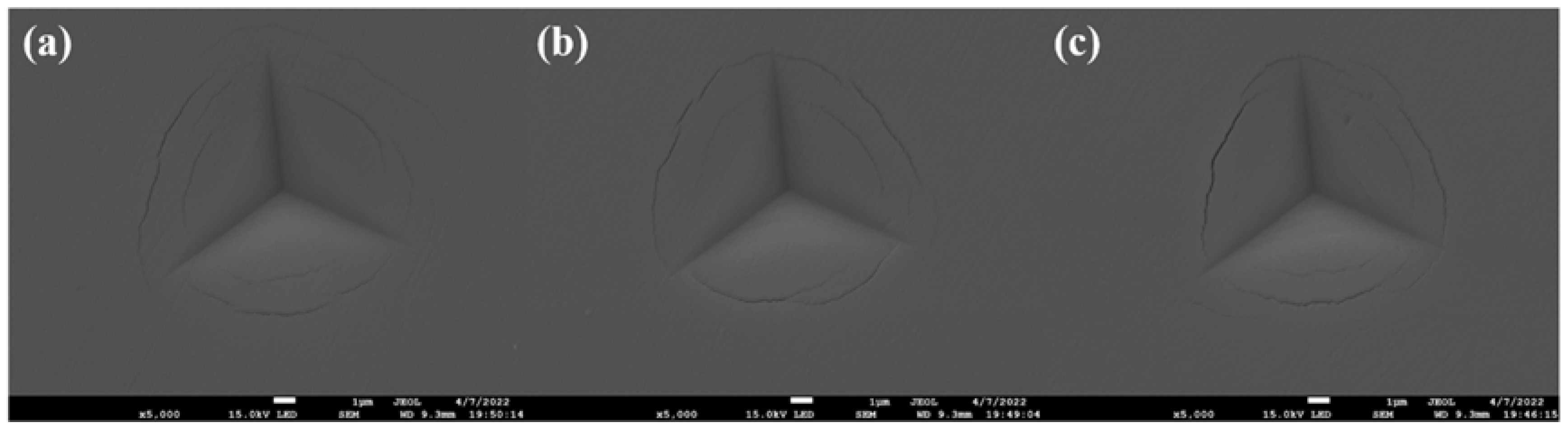Nanomaterials 14 02002 g007