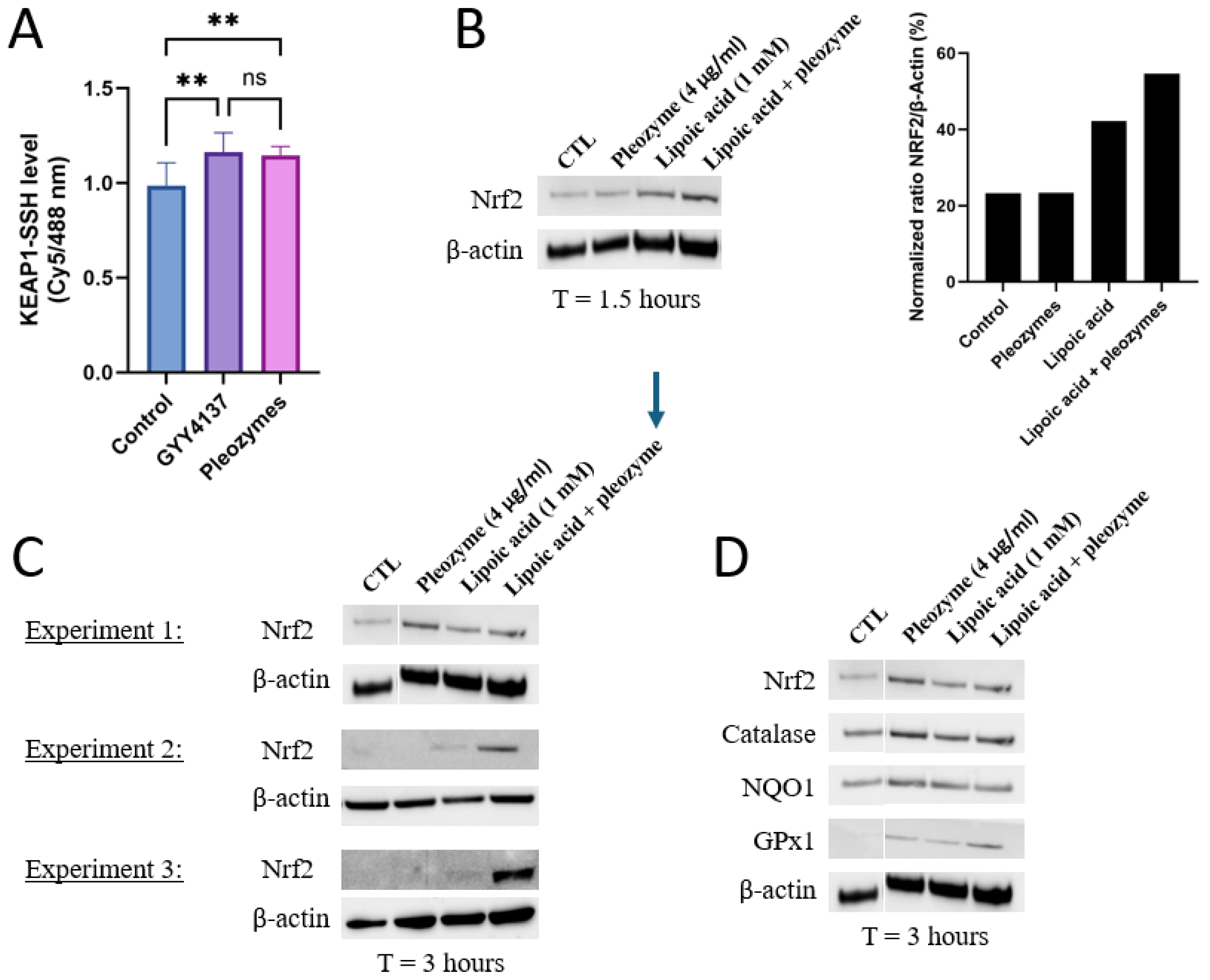 Nanomaterials 14 02007 g003