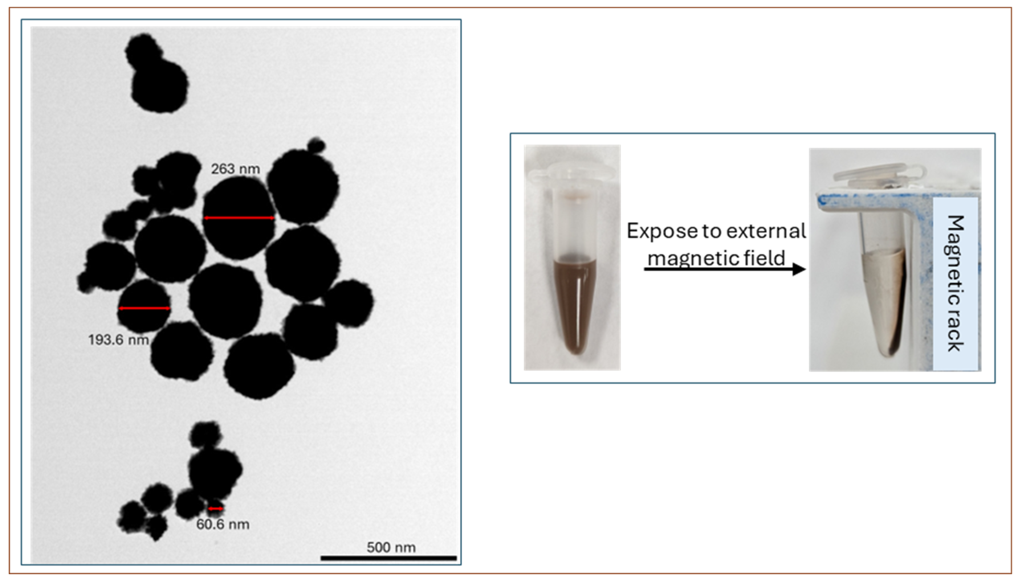 Nanomaterials 14 02010 g004