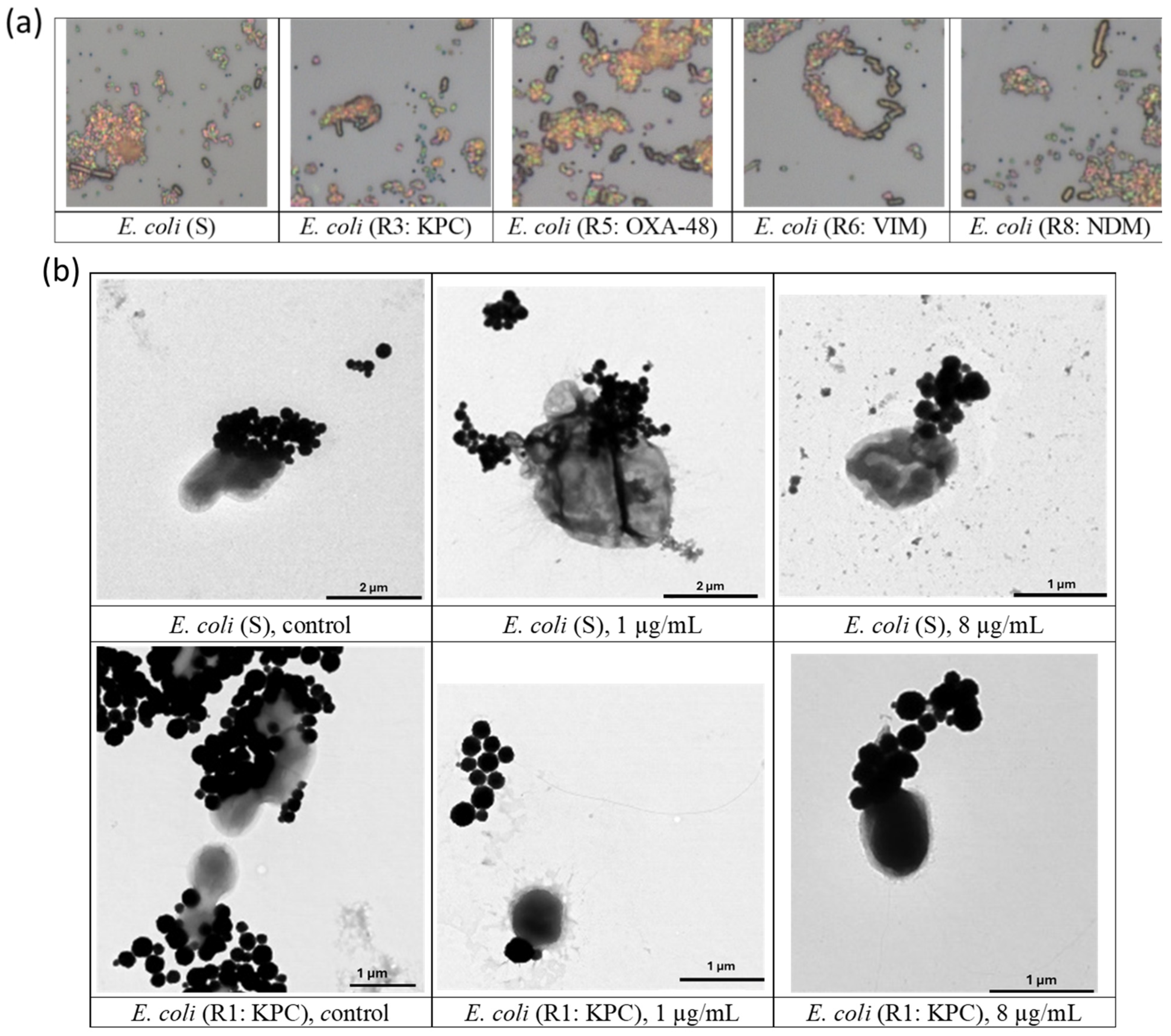 Nanomaterials 14 02010 g006