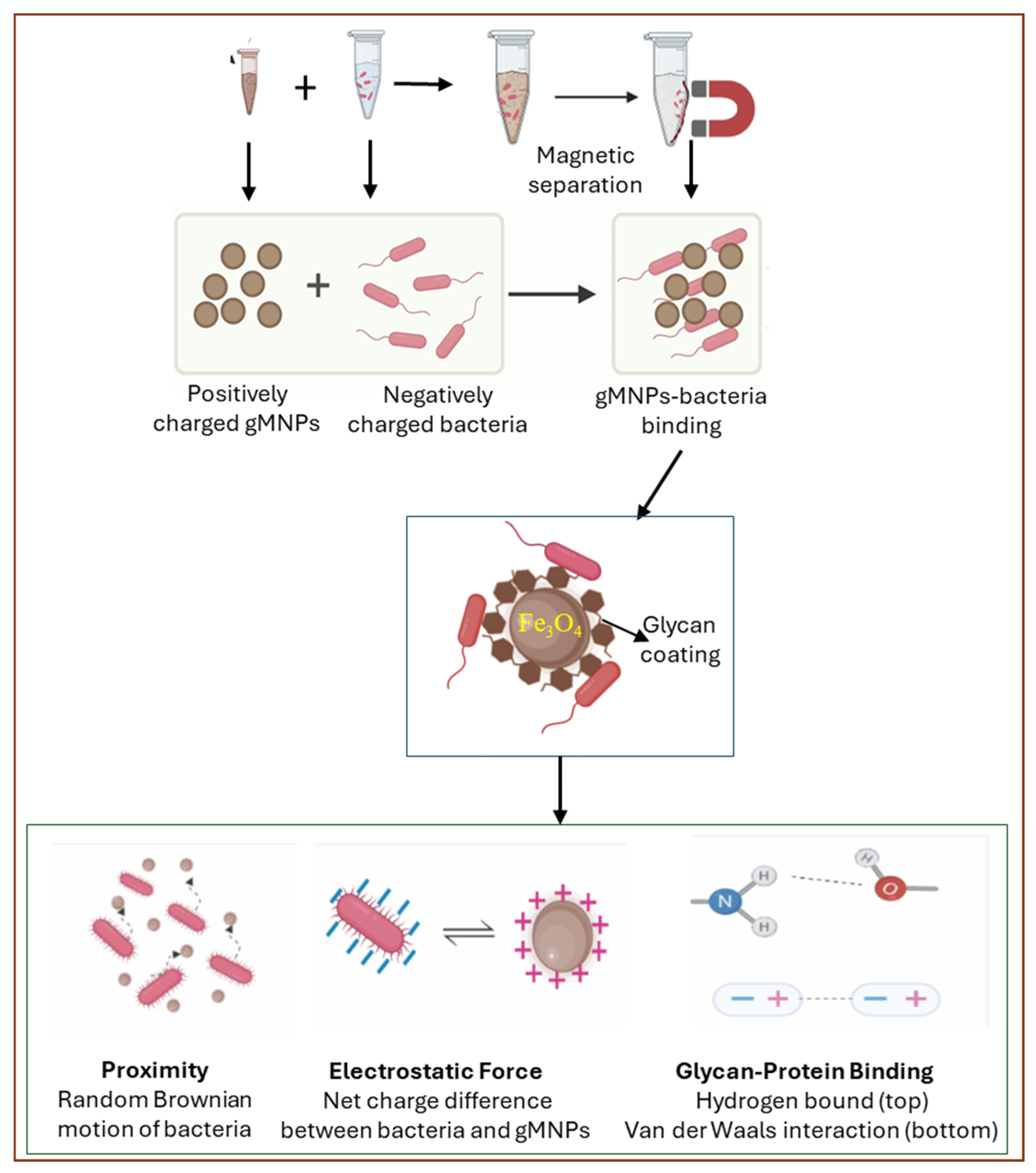 Nanomaterials 14 02010 sch002