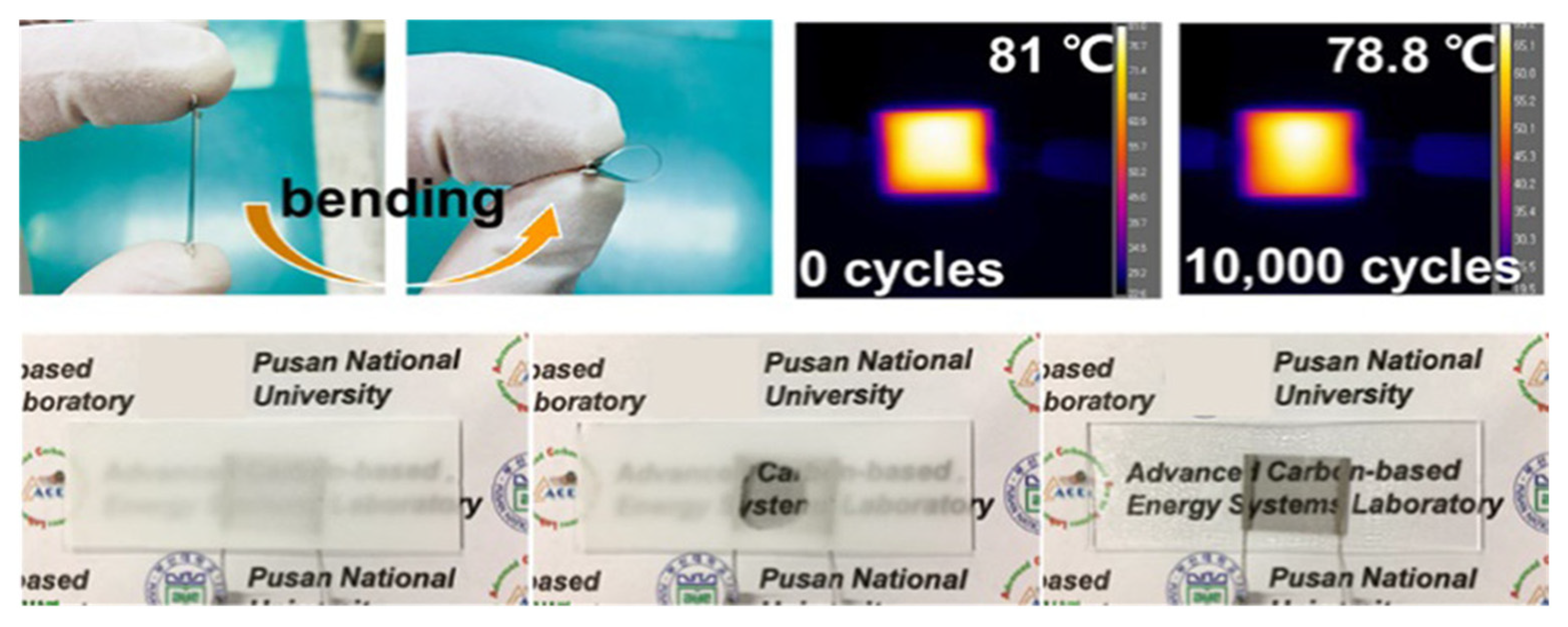 Nanomaterials 14 02011 g010