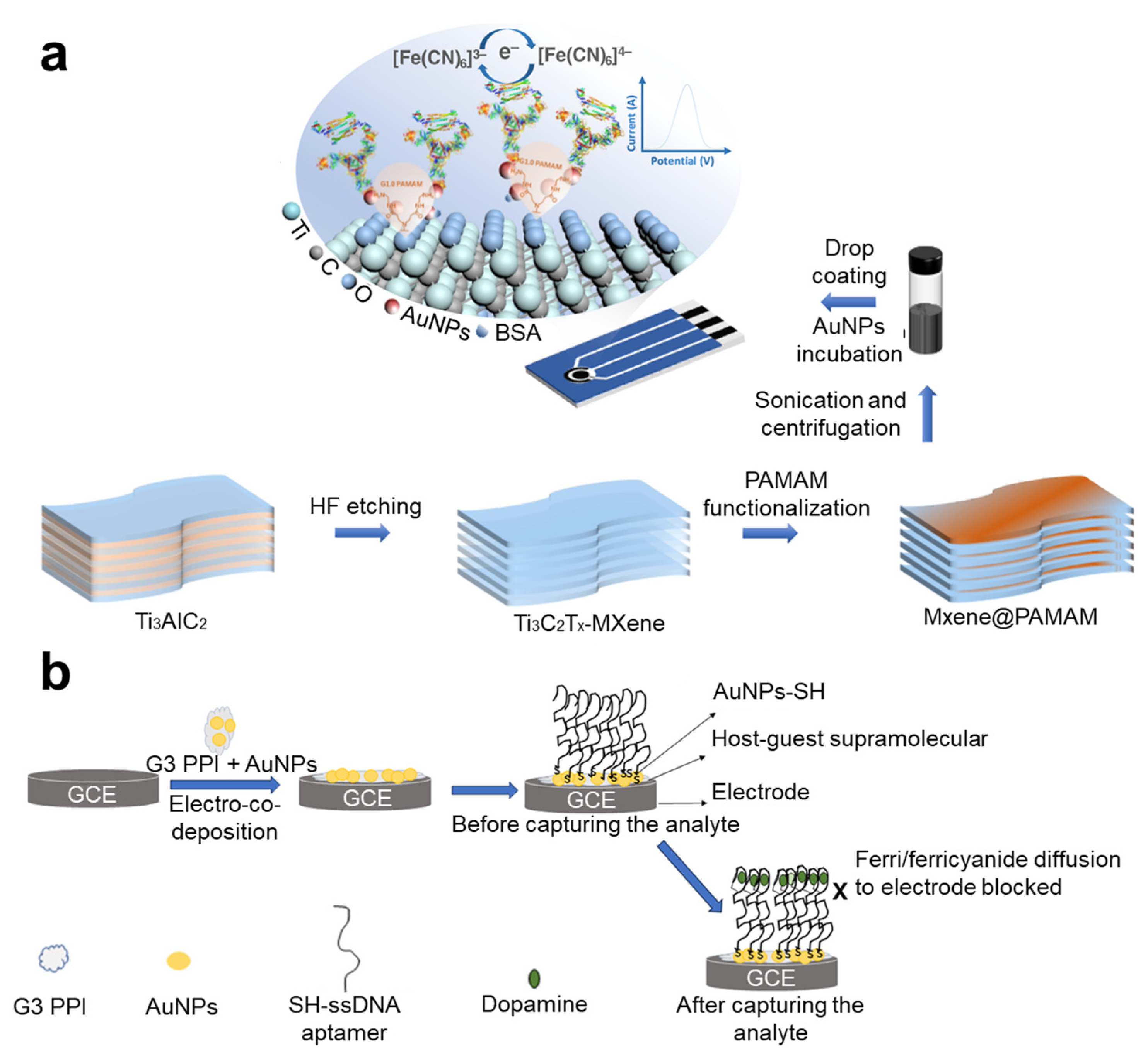 Nanomaterials 14 02014 g005