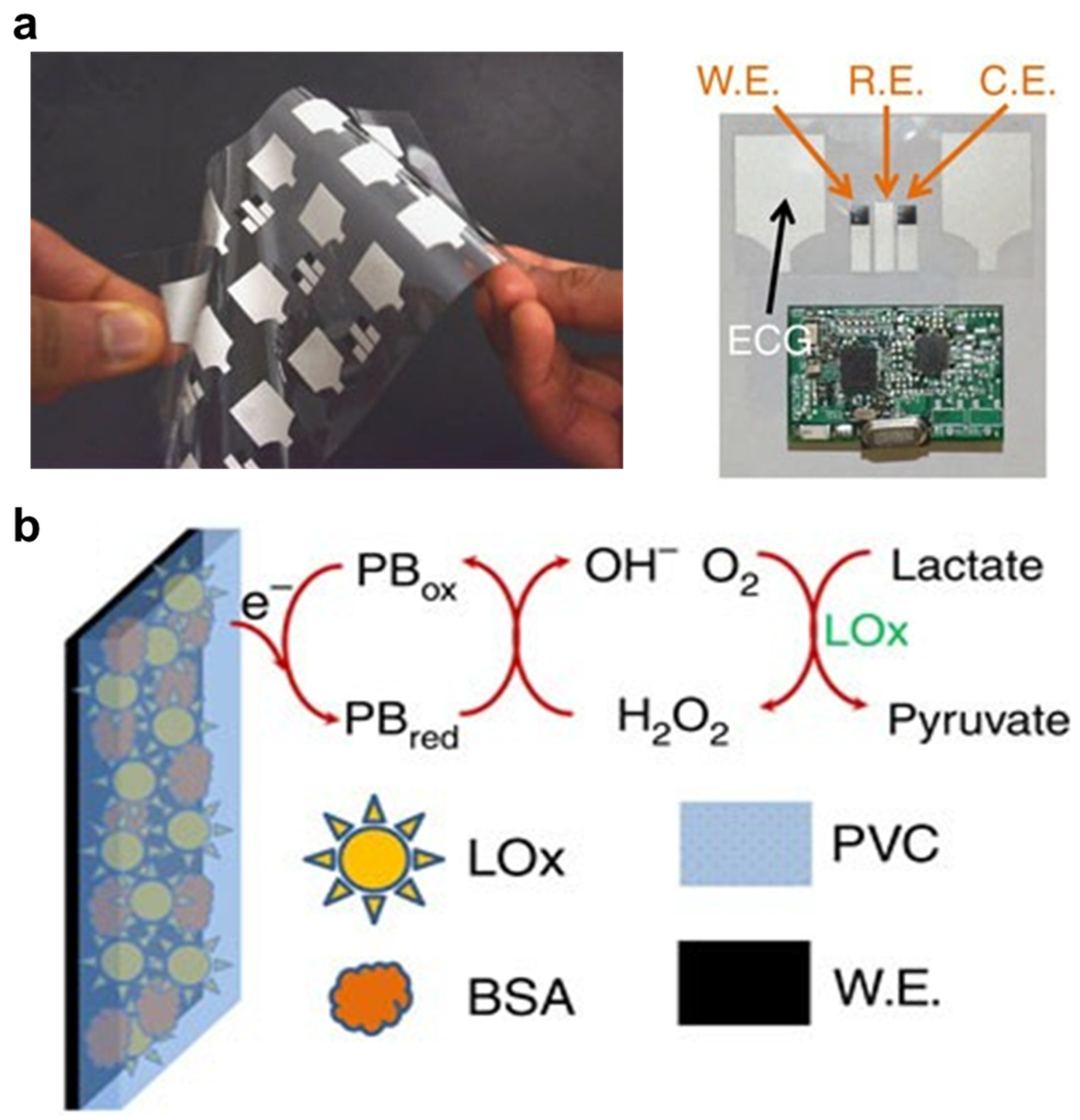 Nanomaterials 14 02014 g009