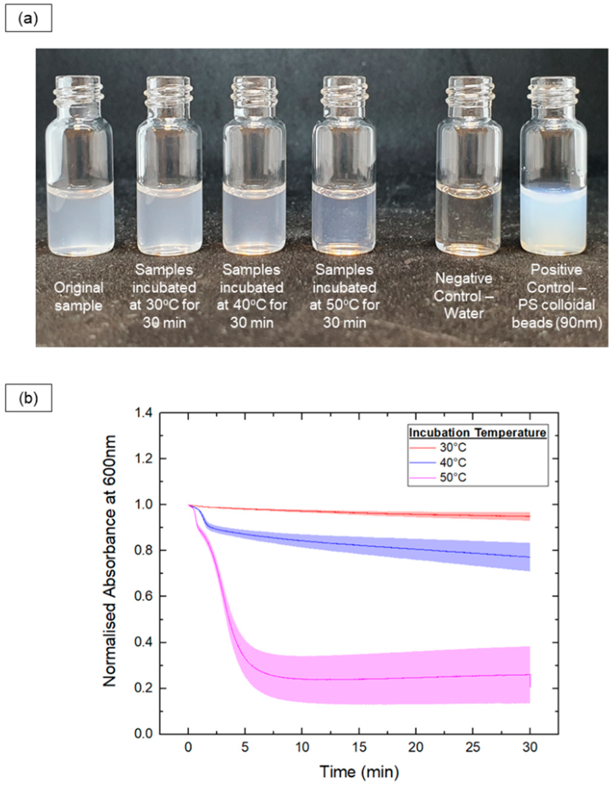 Nanomaterials 14 02015 g003
