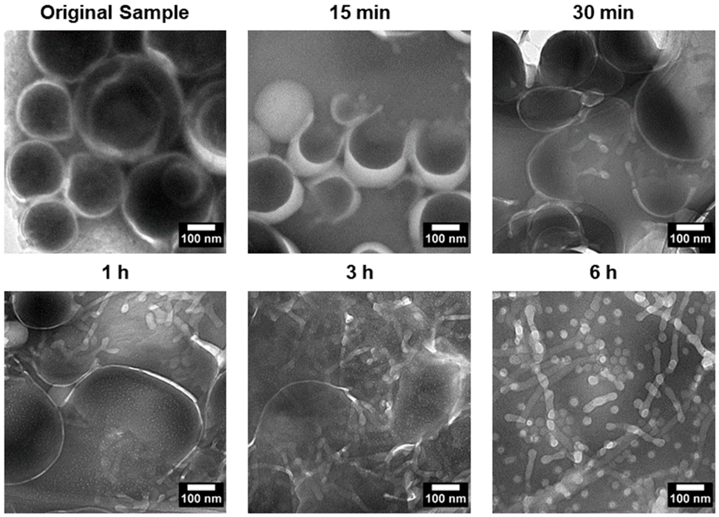 Nanomaterials 14 02015 g004