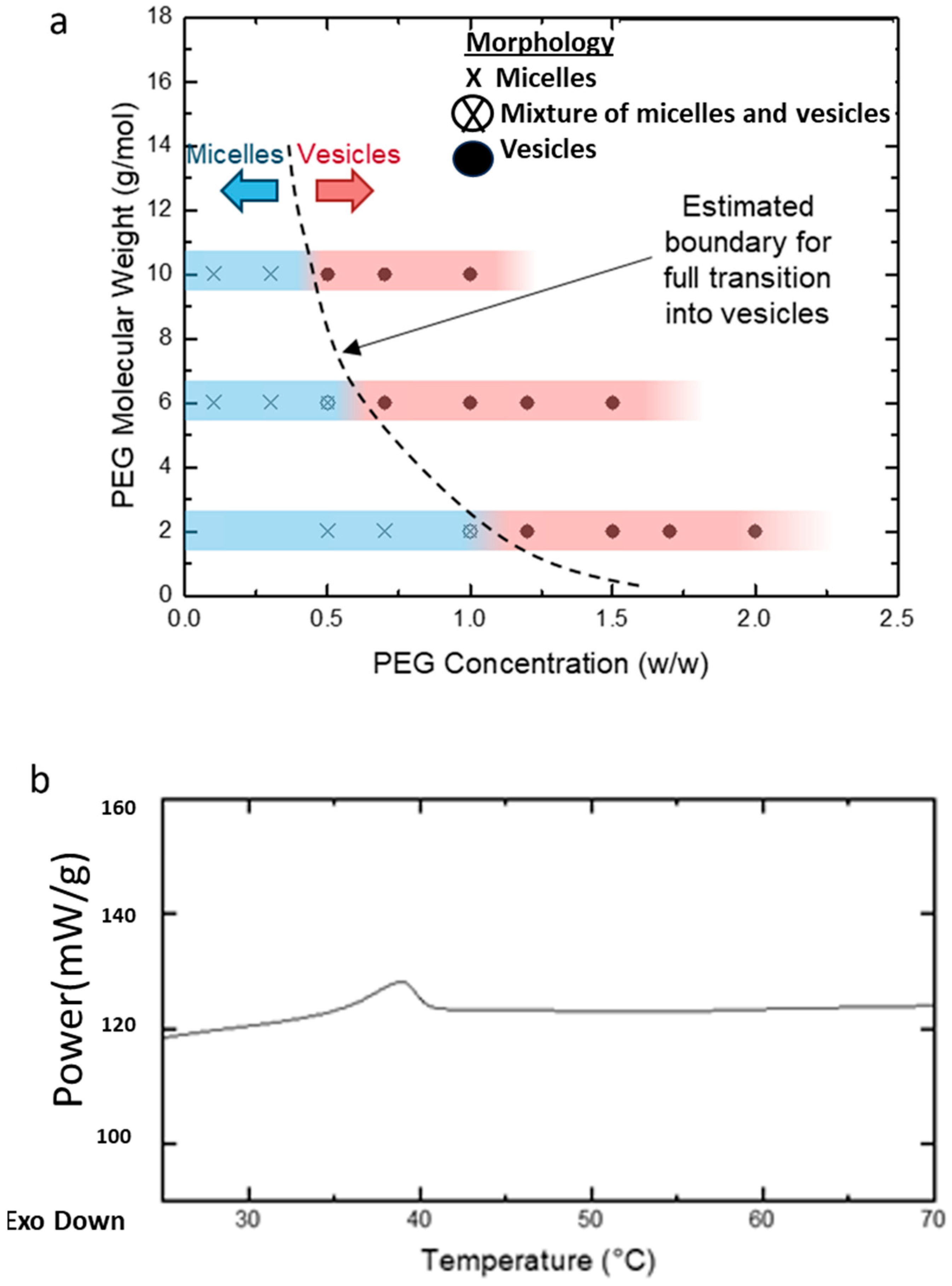 Nanomaterials 14 02015 g005