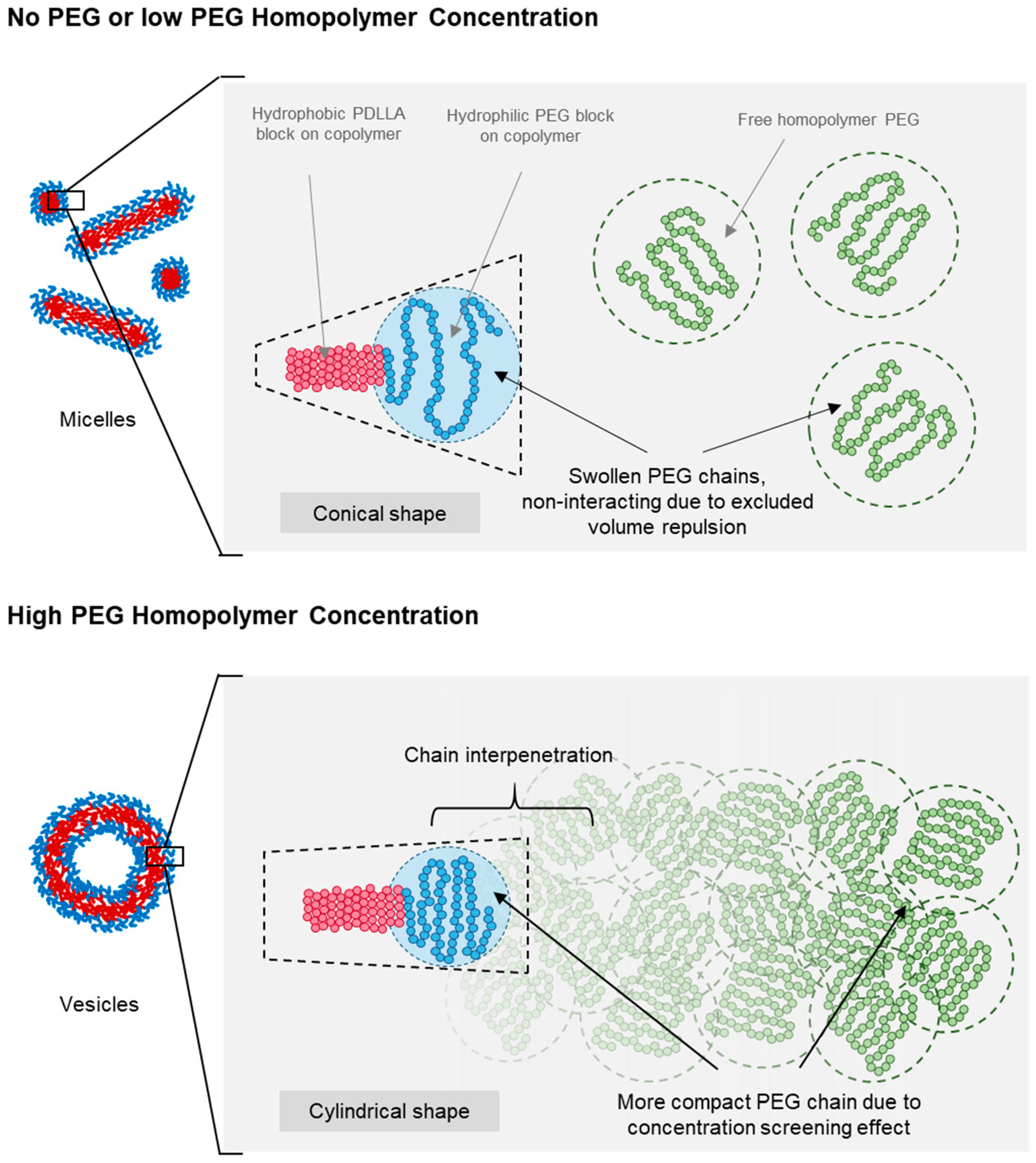 Nanomaterials 14 02015 g006