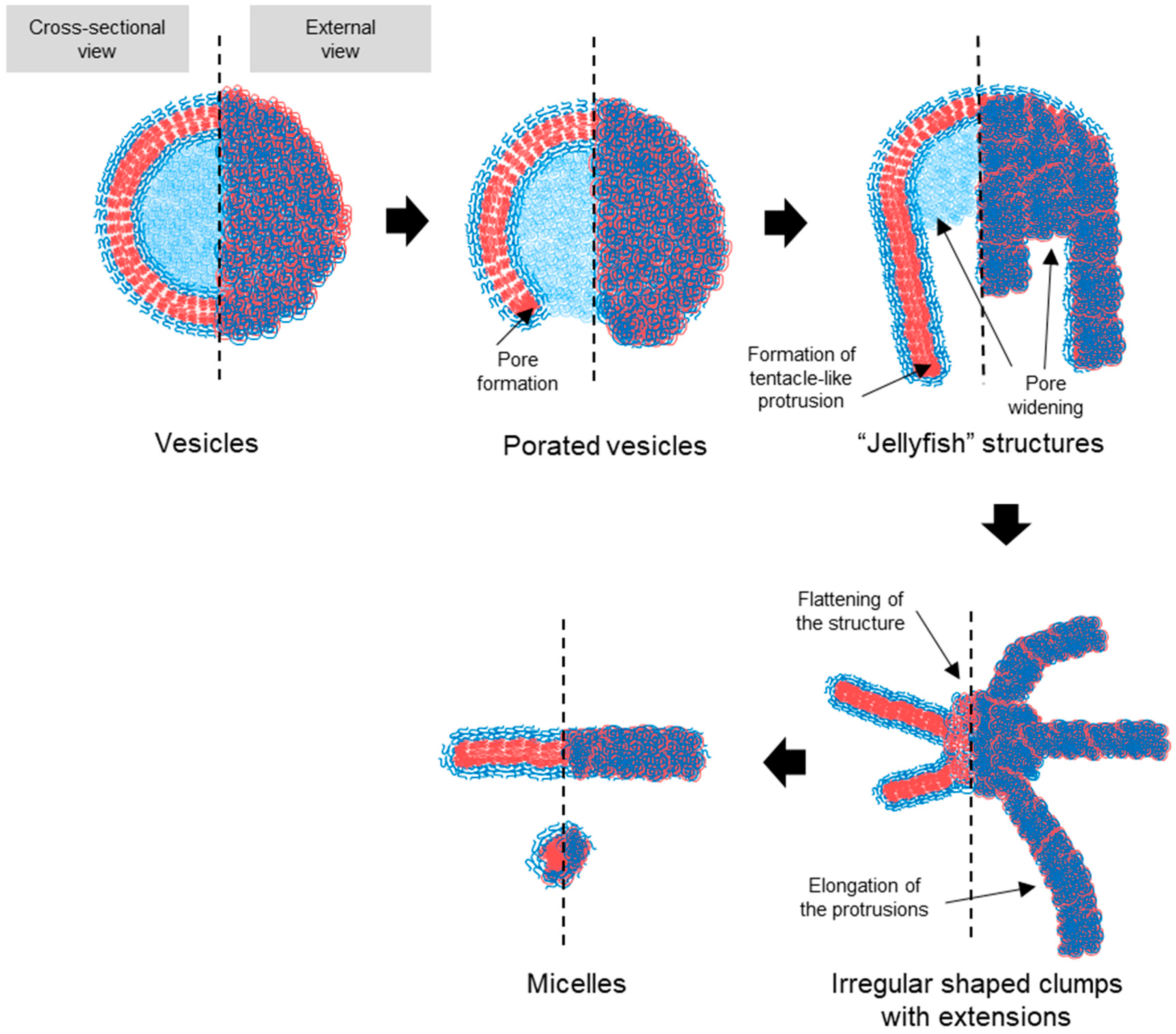 Nanomaterials 14 02015 g007
