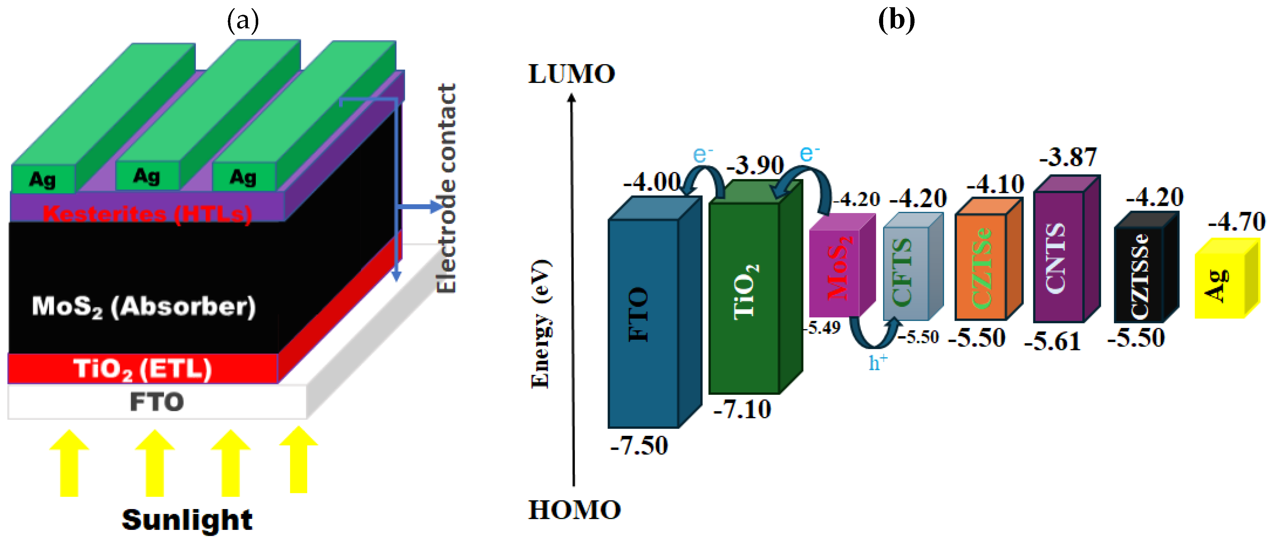 Nanomaterials 14 02016 g001