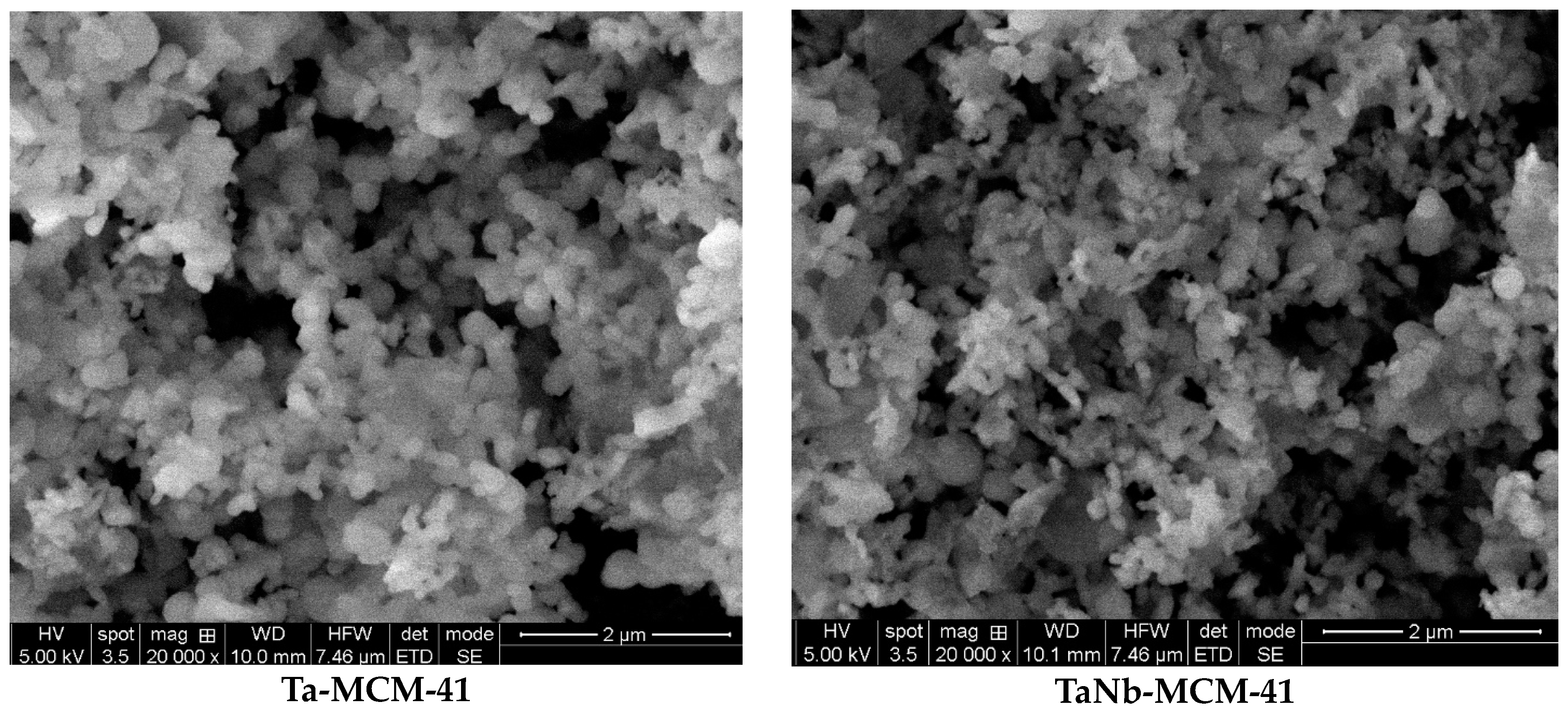 Nanomaterials 14 02025 g003a