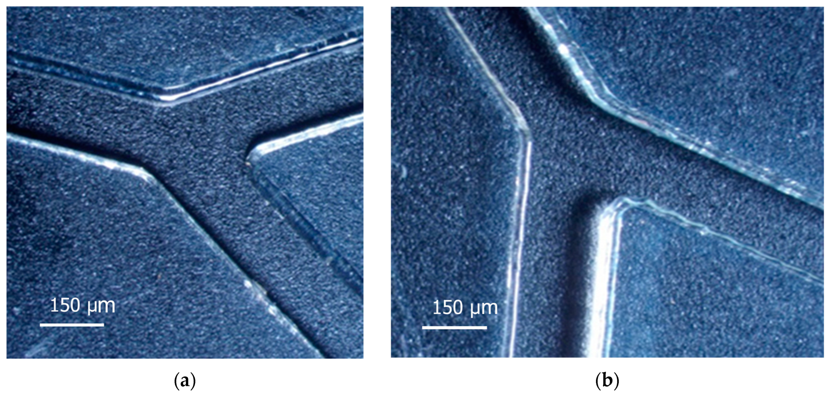 Nanomaterials 14 02030 g002