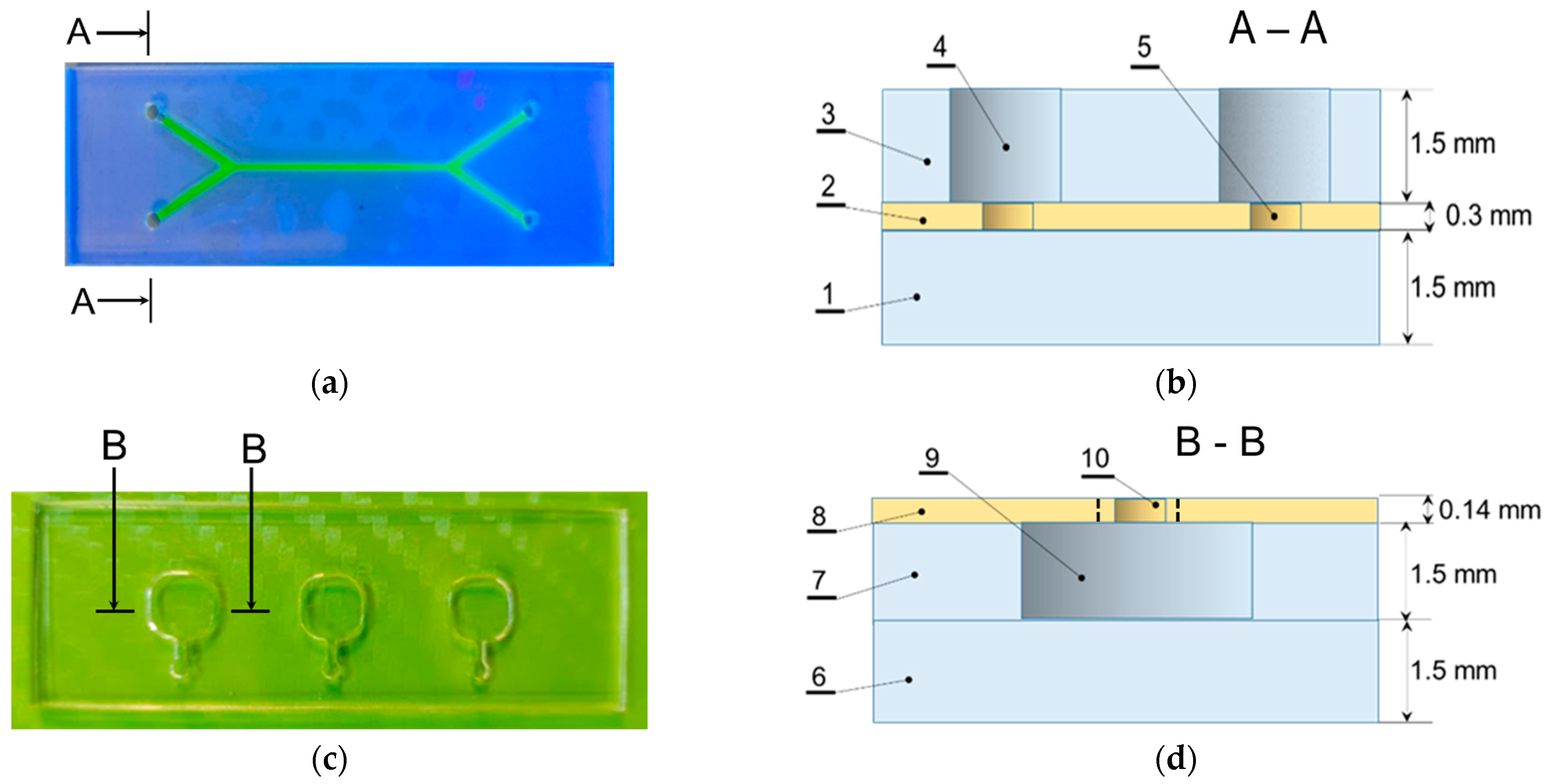 Nanomaterials 14 02030 g003