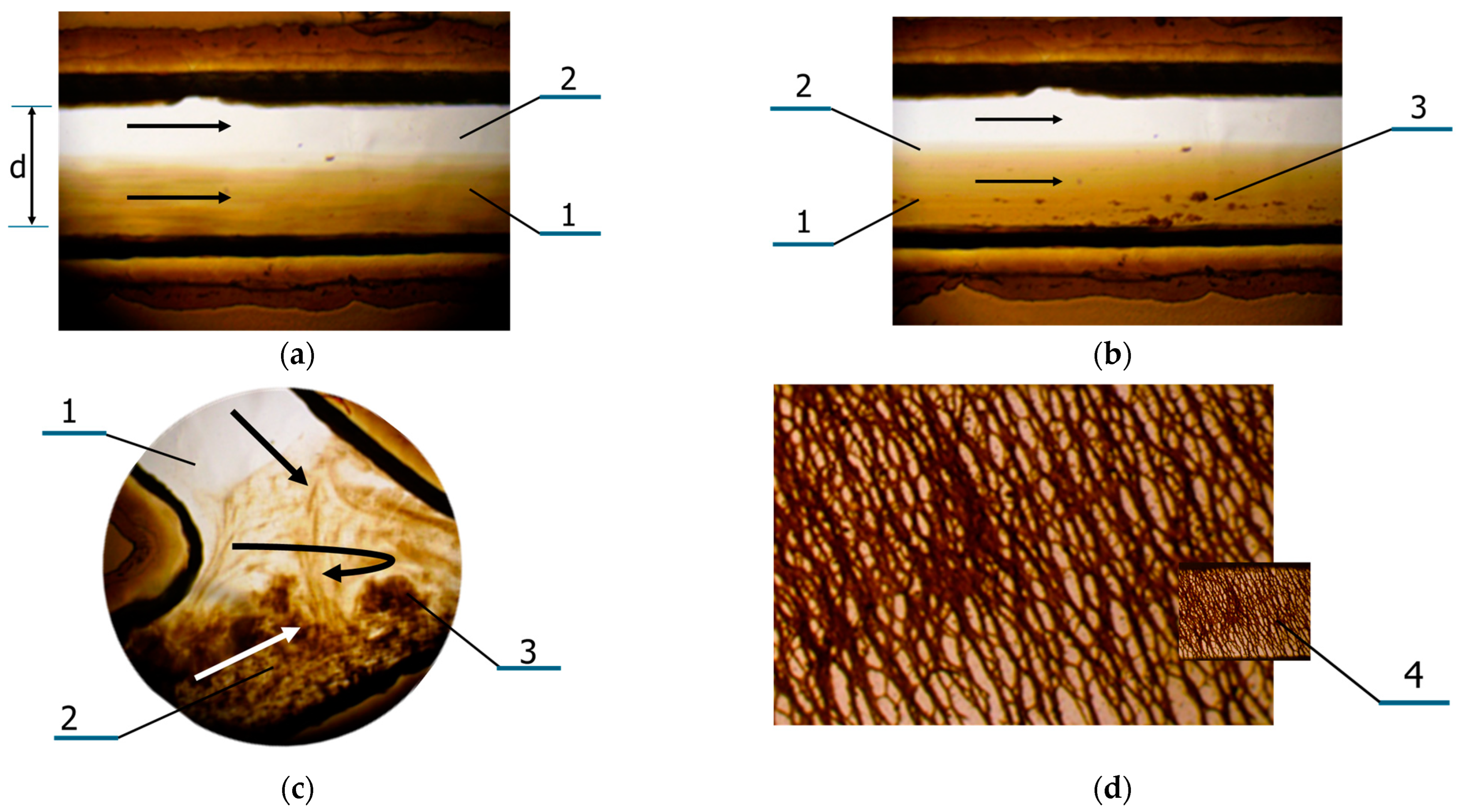 Nanomaterials 14 02030 g005