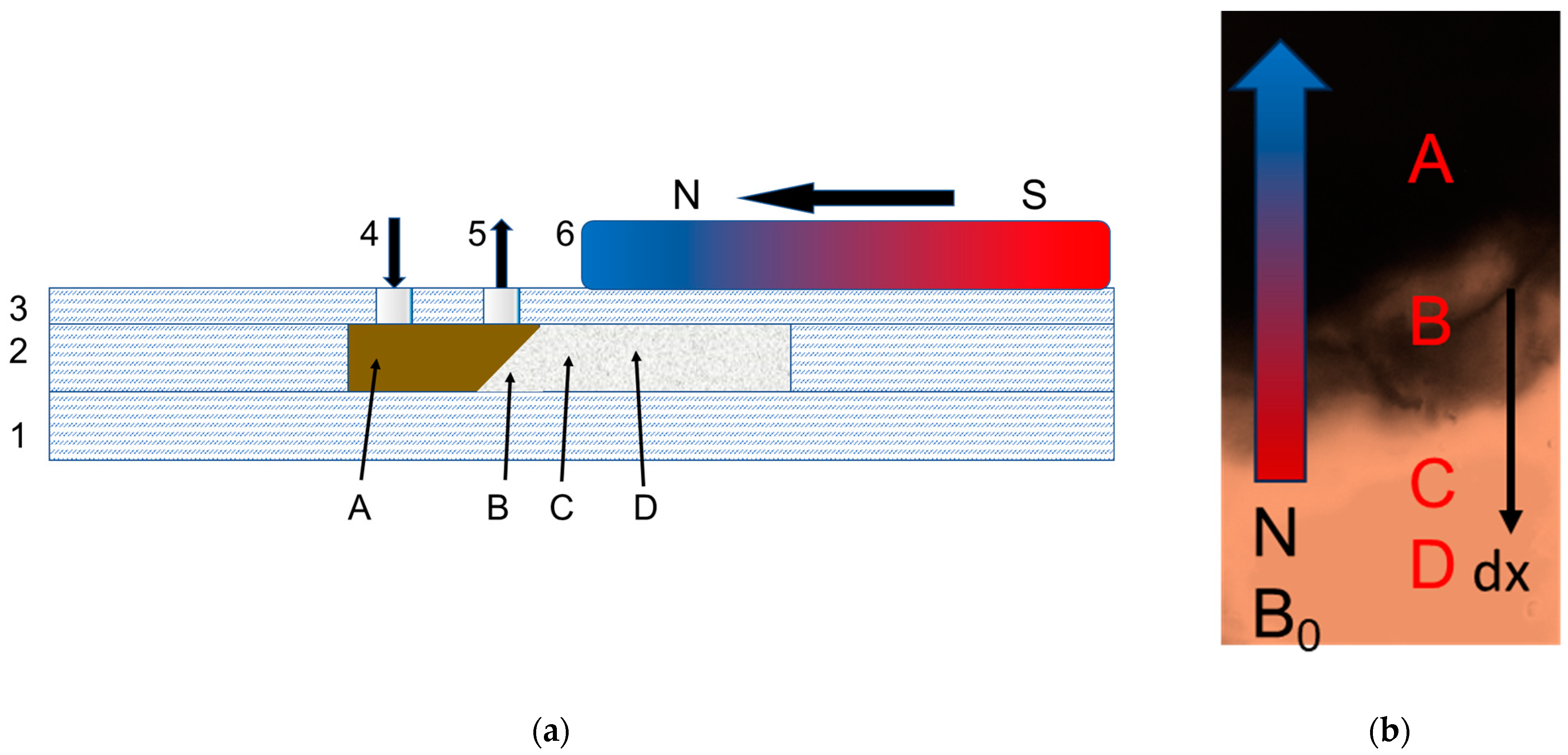Nanomaterials 14 02030 g007