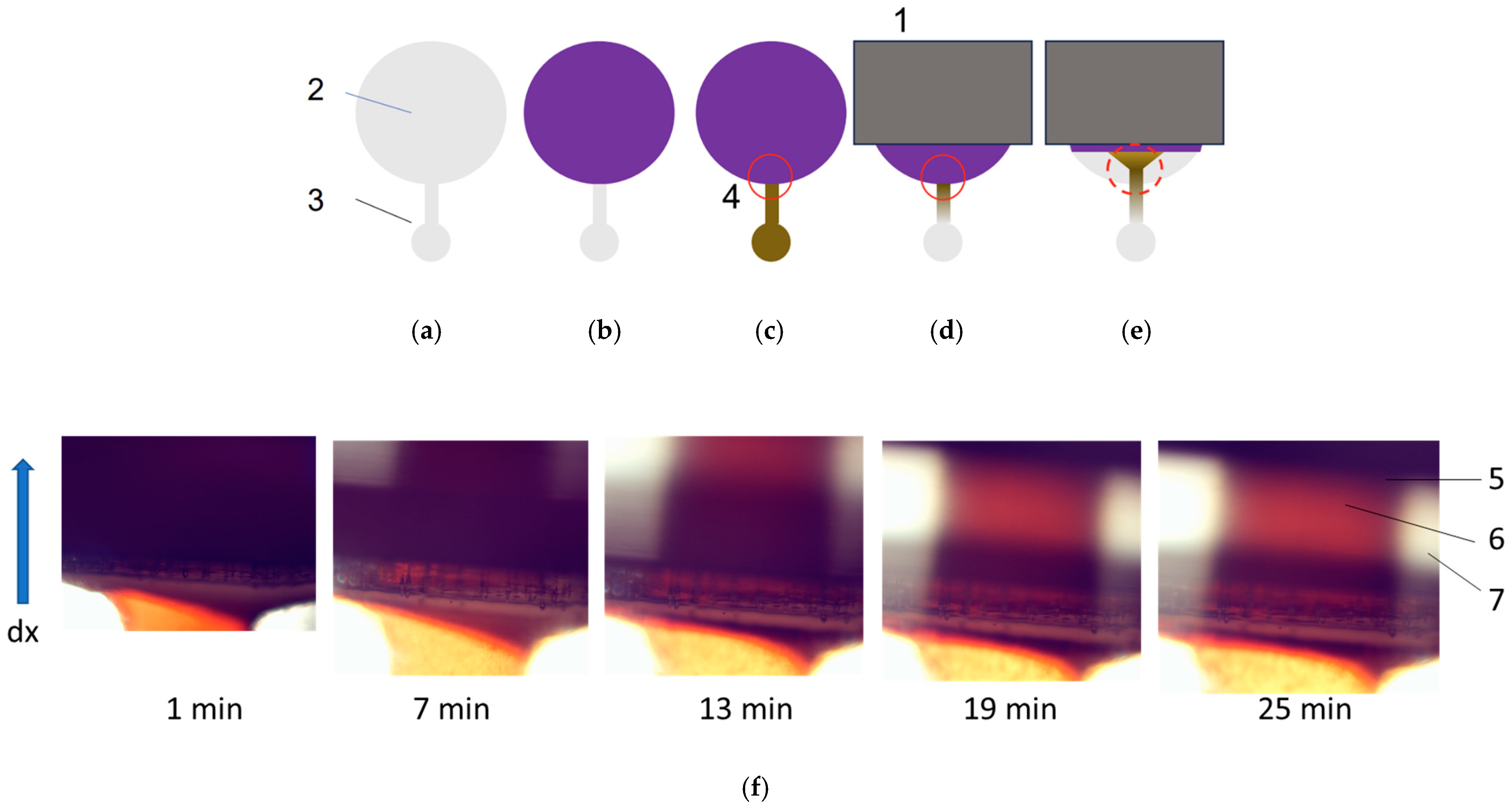 Nanomaterials 14 02030 g010