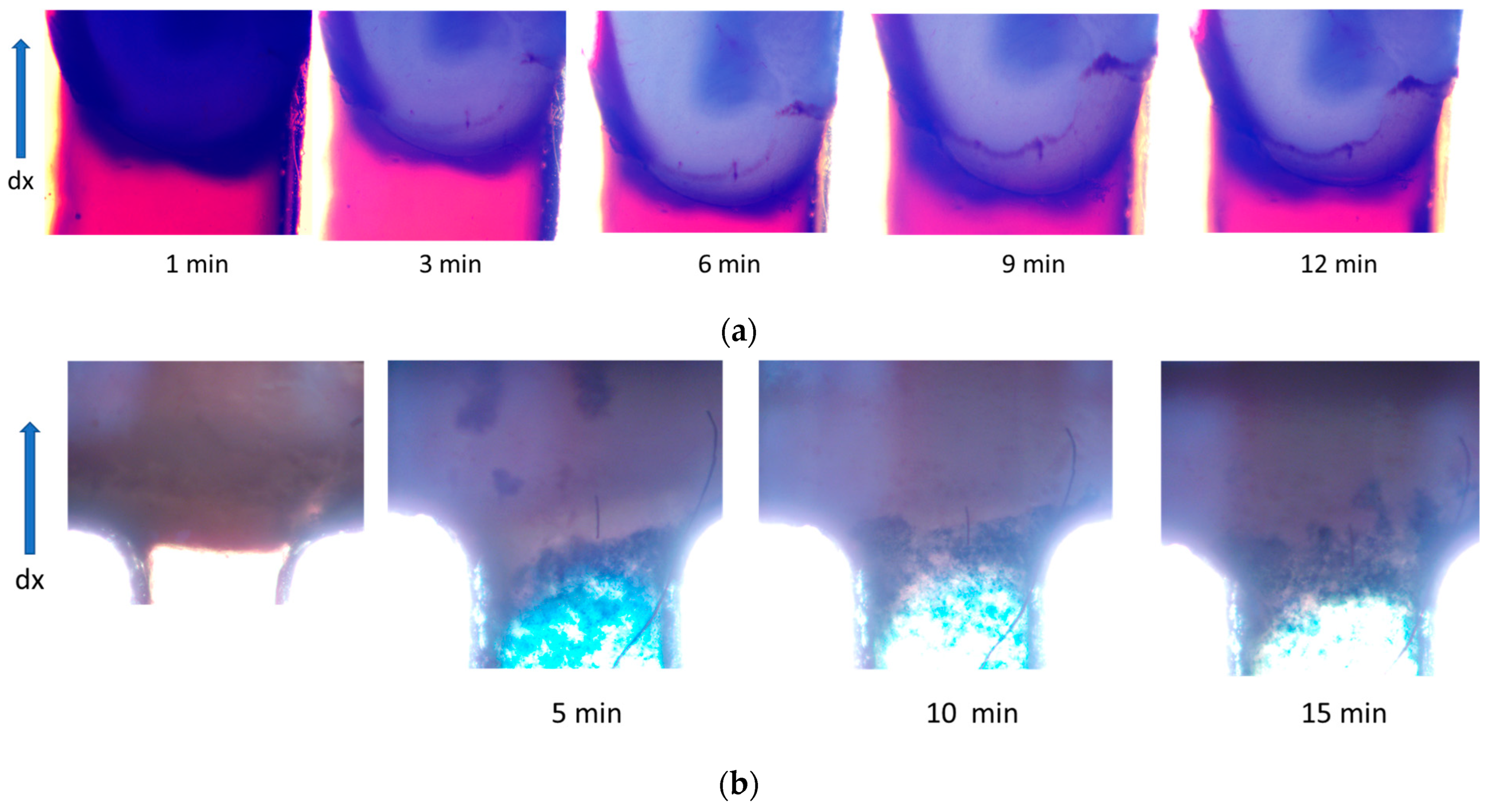 Nanomaterials 14 02030 g011