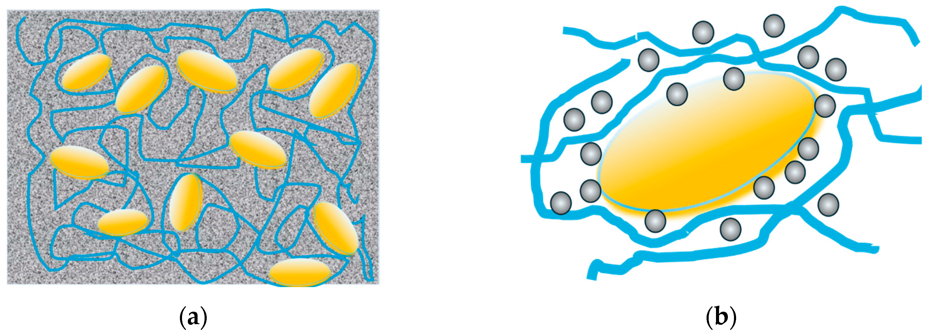 Nanomaterials 14 02030 g012