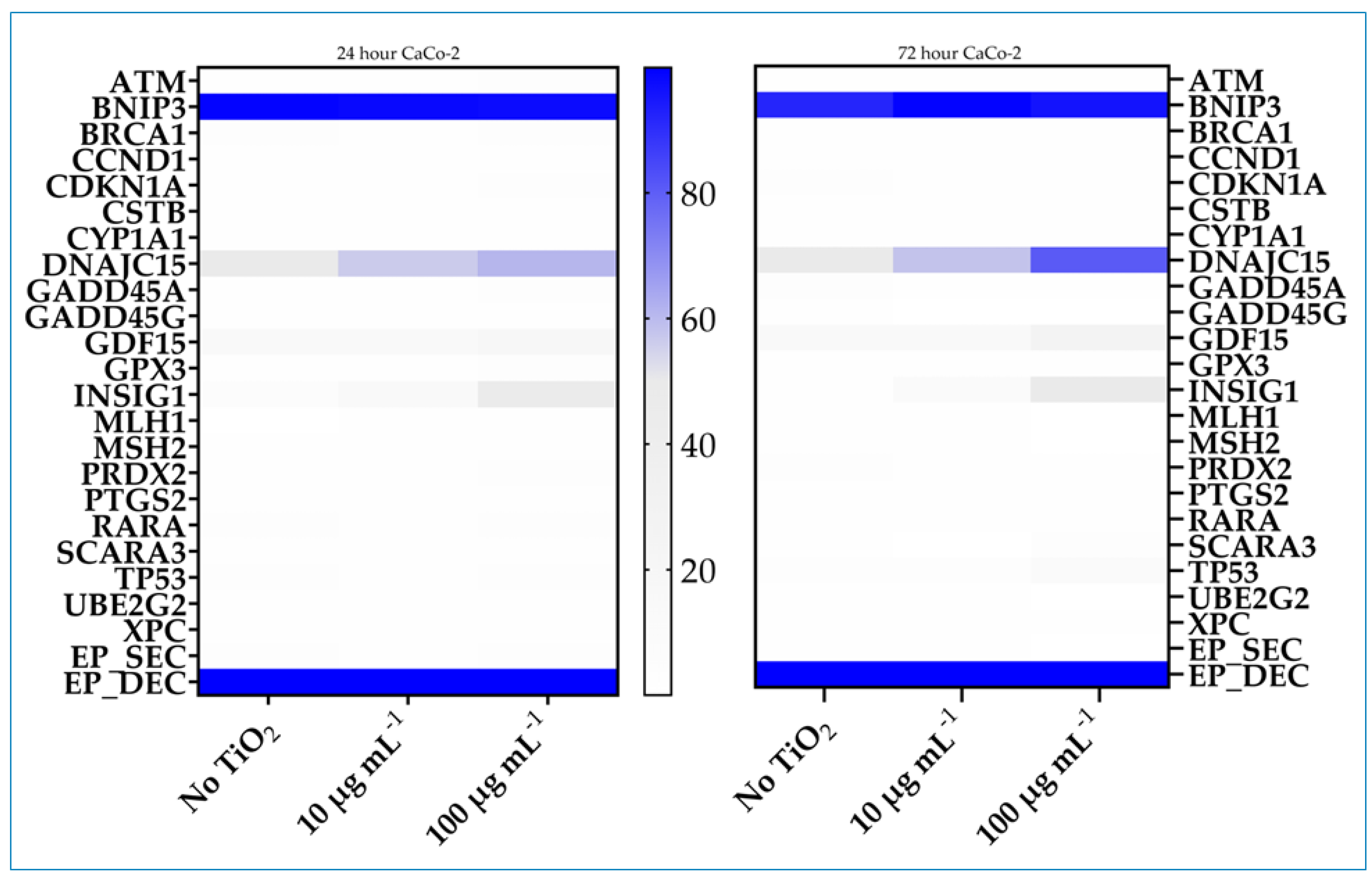 Exposure to a Titanium Dioxide Product Alters DNA Methylation in Human ...