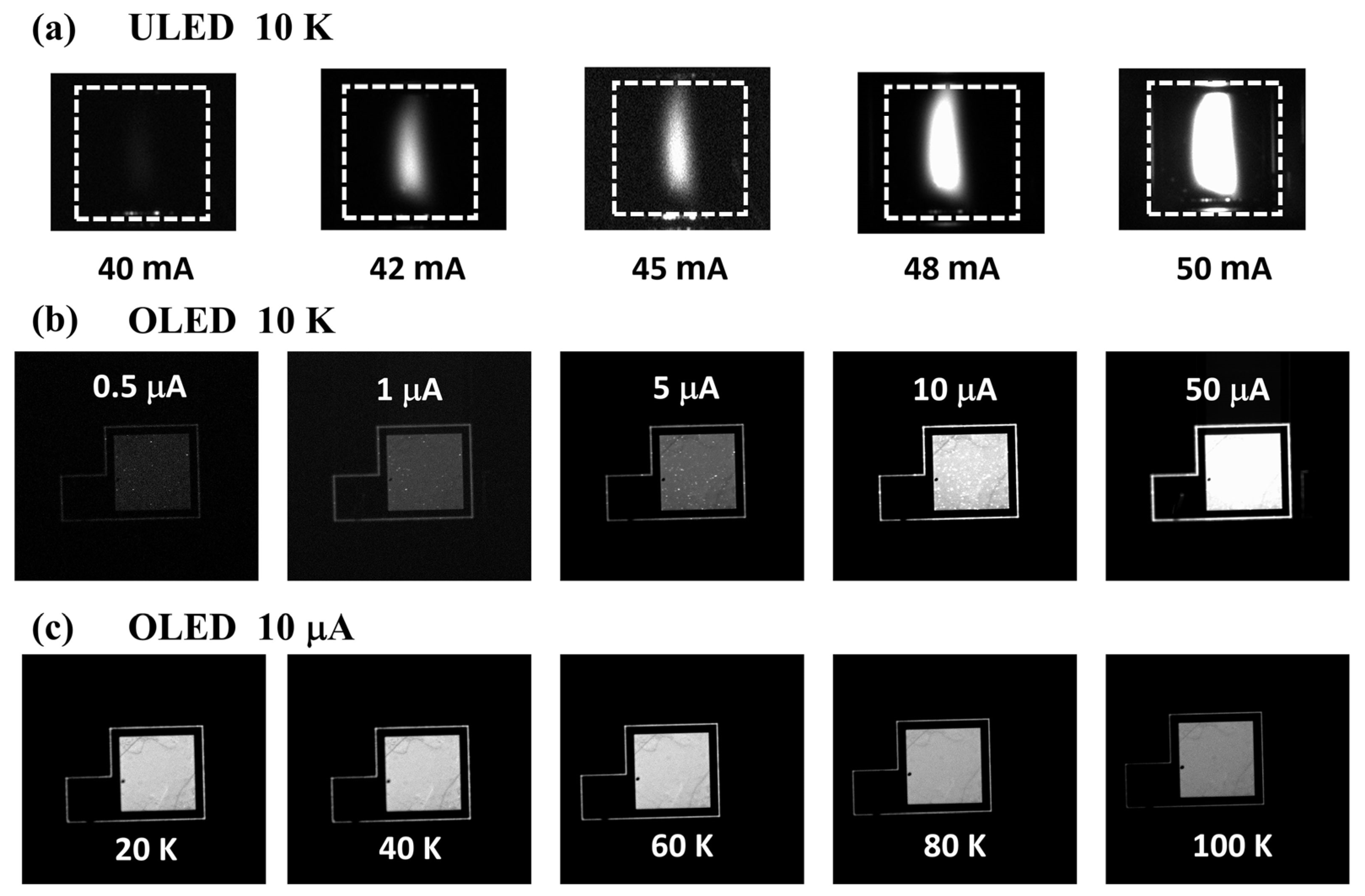 Nanomaterials 14 02039 g006