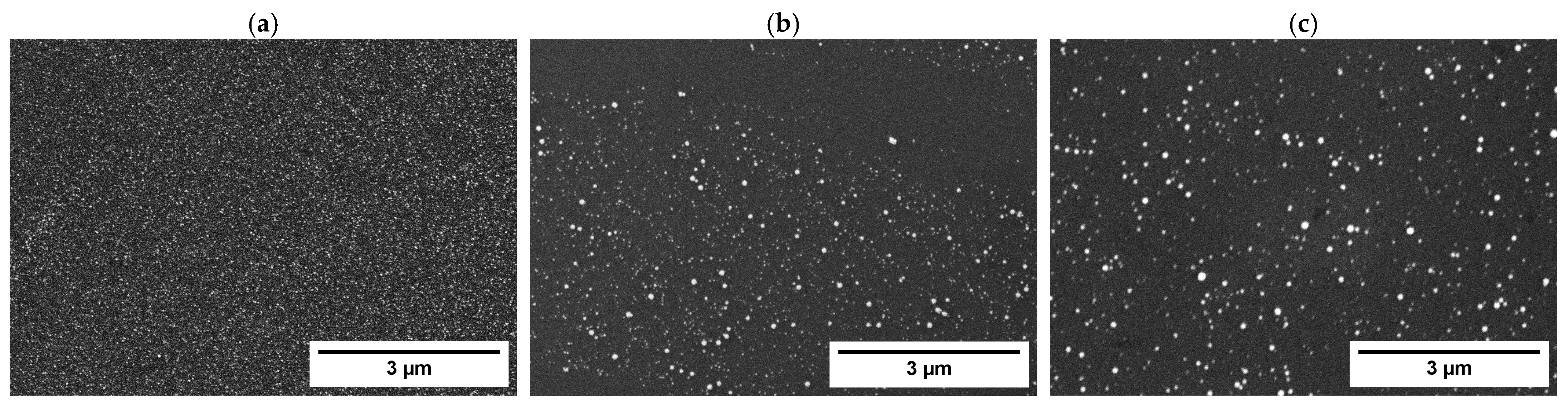 Nanomaterials 14 02042 g004