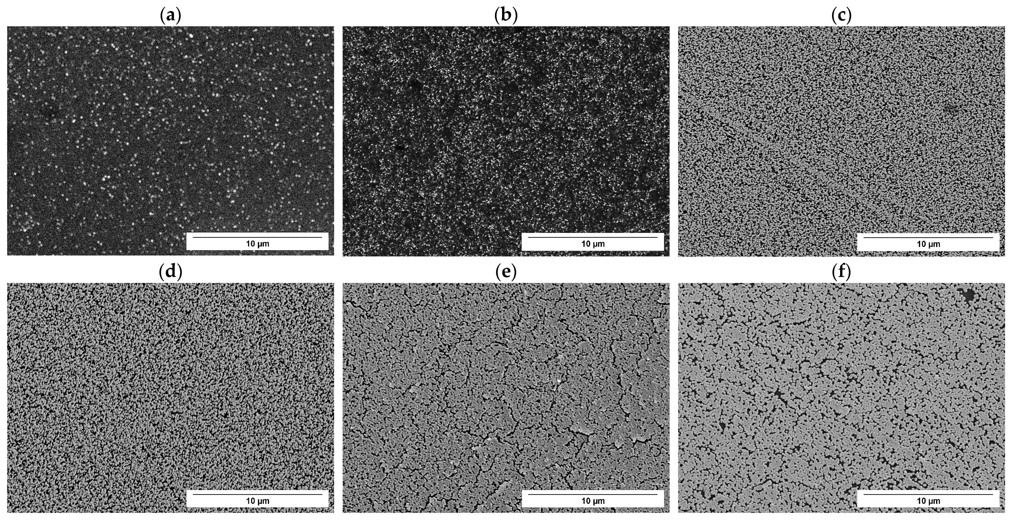 Nanomaterials 14 02042 g006