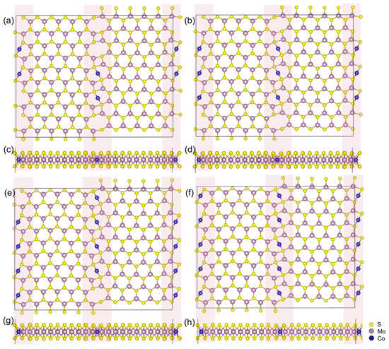 Formation and Magnetic Properties of Transition Metal Atomic Formation and Magnetic Properties of Transition Metal Atomic