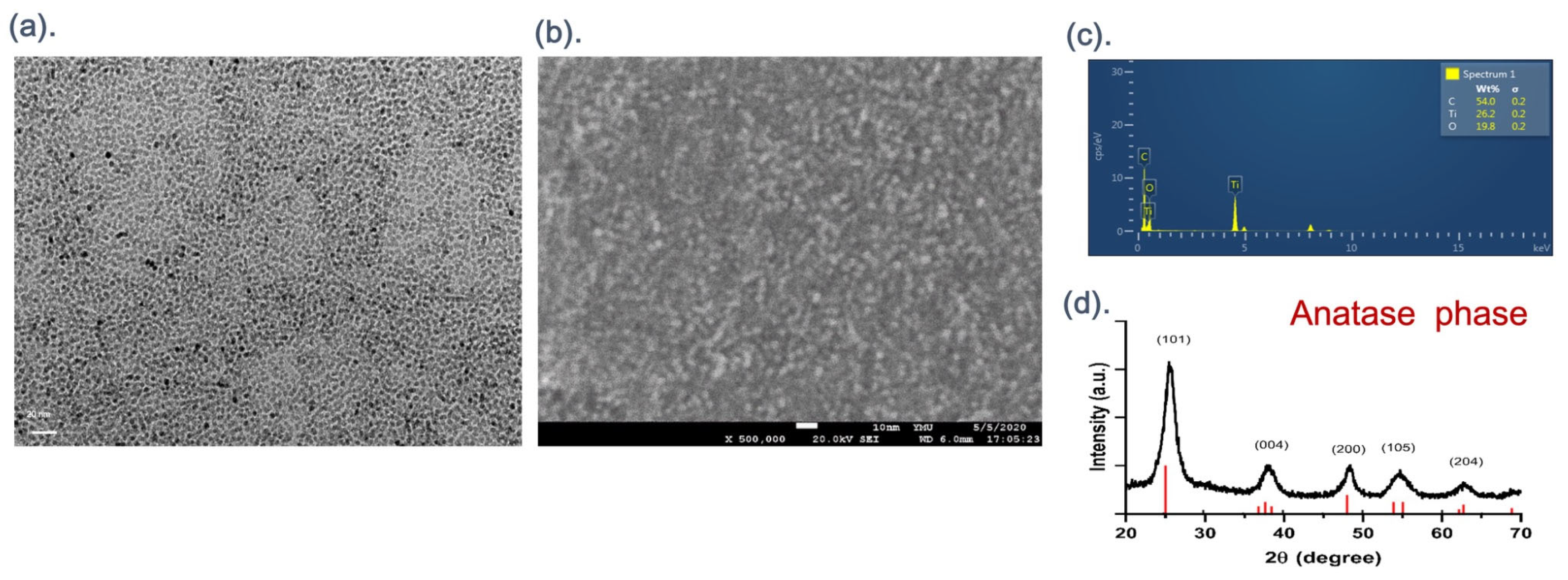Nanomaterials 14 02045 g001
